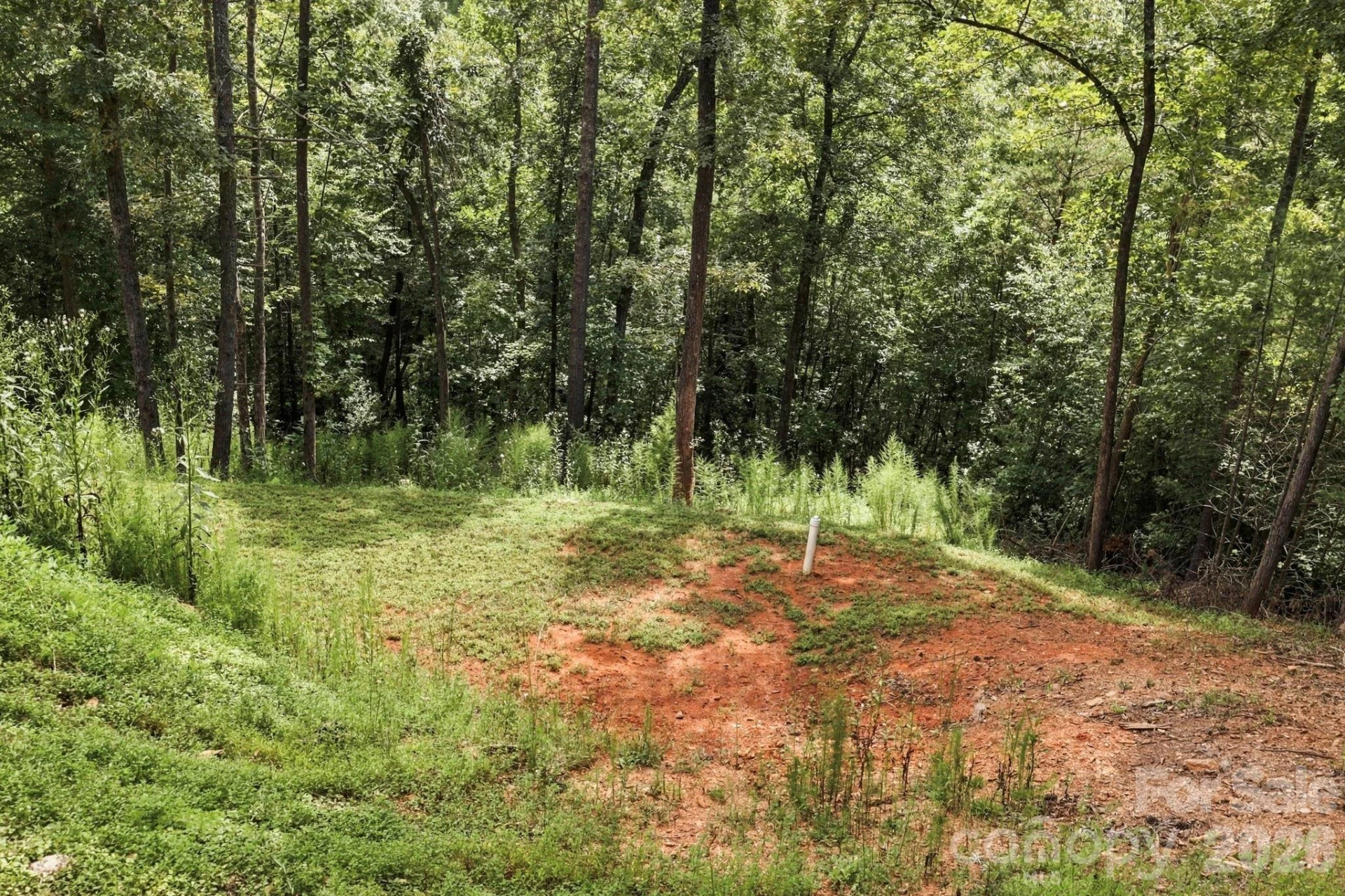 678 Forest Lake Heights Drive - Photo 23