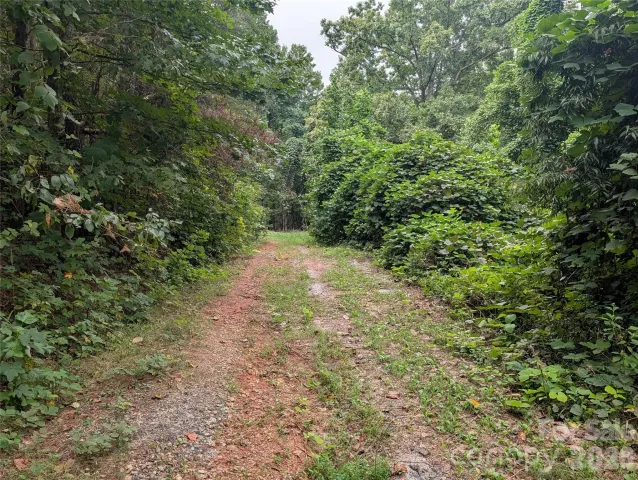 00 Pea Ridge Road, Mill Spring, NC, 28756