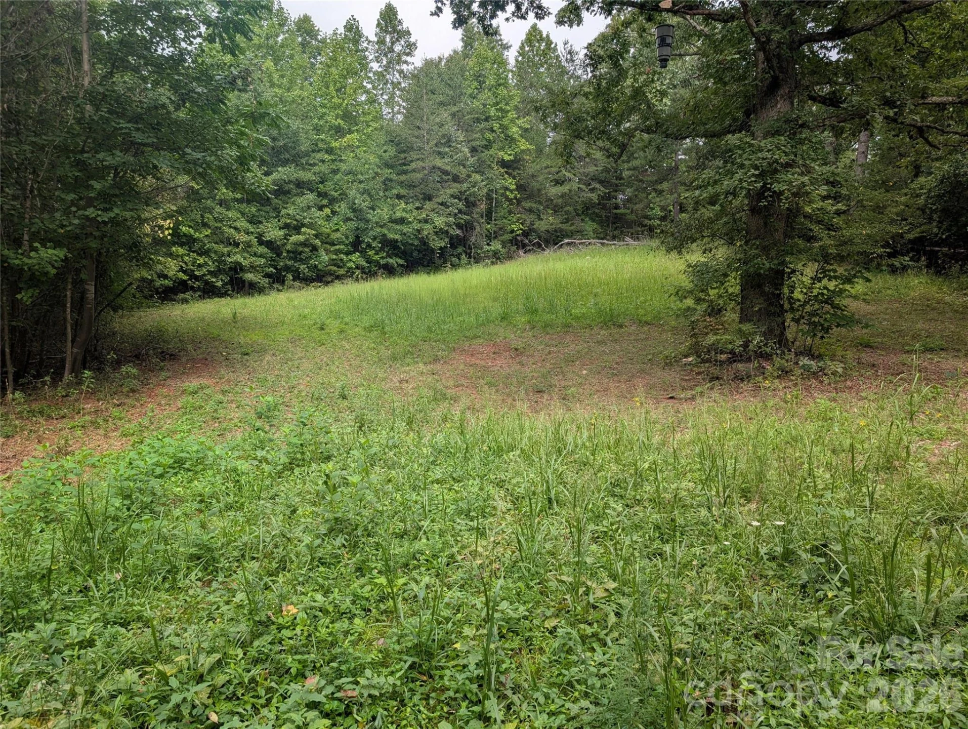 00 Pea Ridge Road - Photo 2