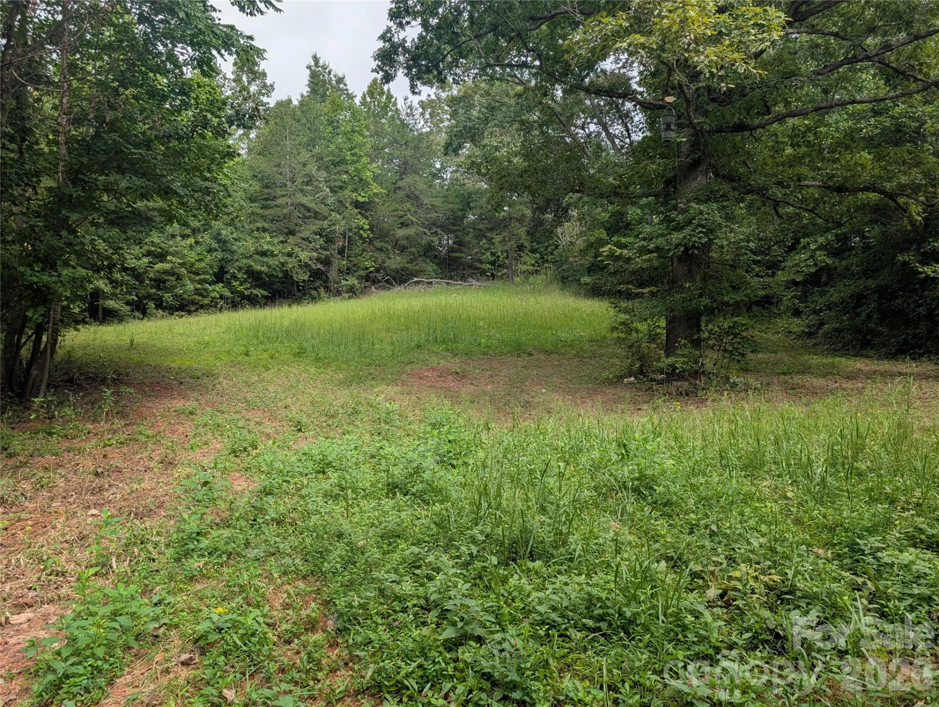 00 Pea Ridge Road - Photo 3