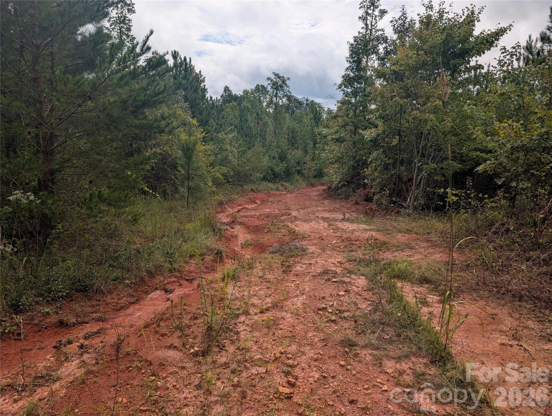 00 Pea Ridge Road - Photo 4