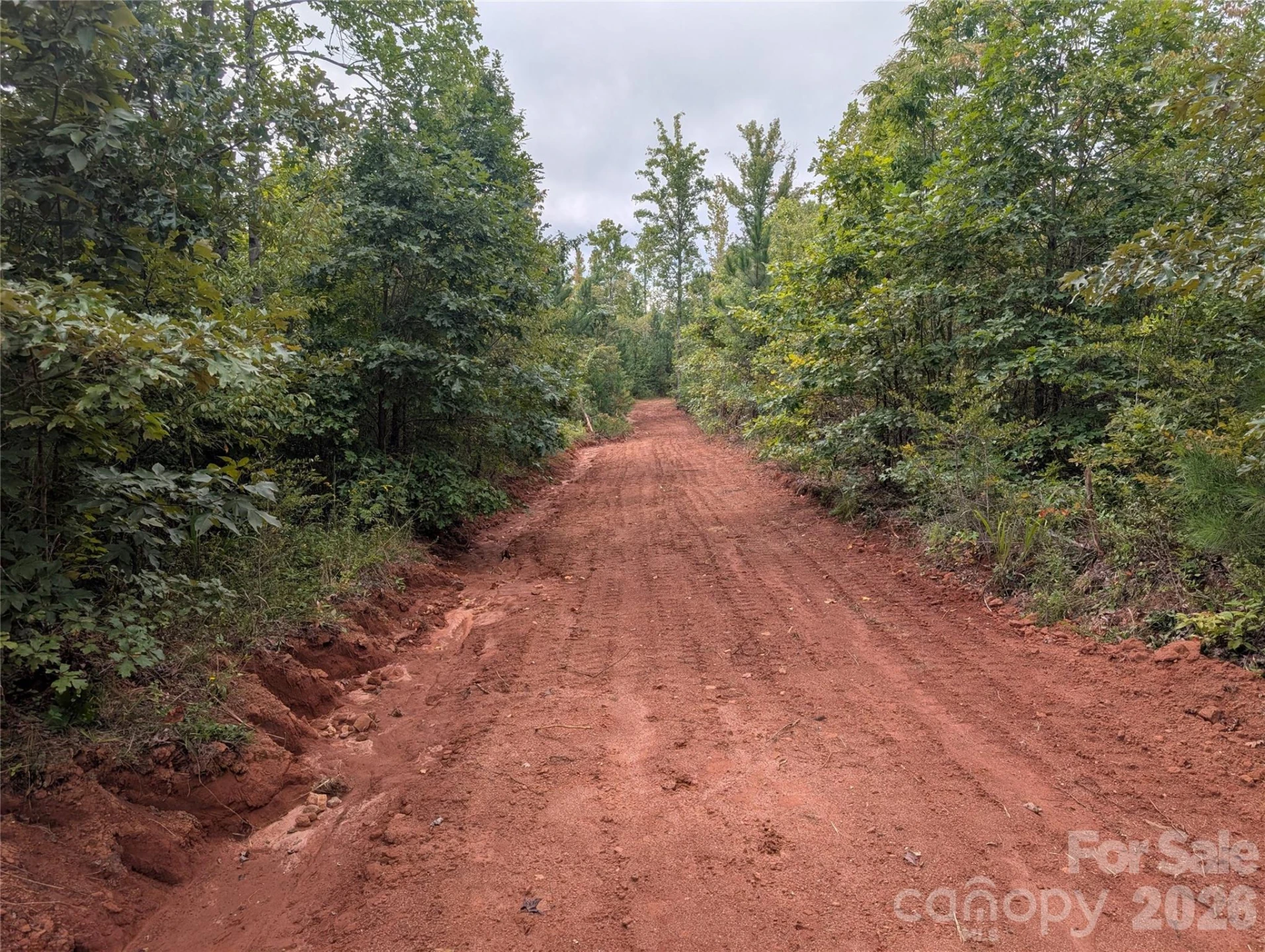 00 Pea Ridge Road - Photo 5