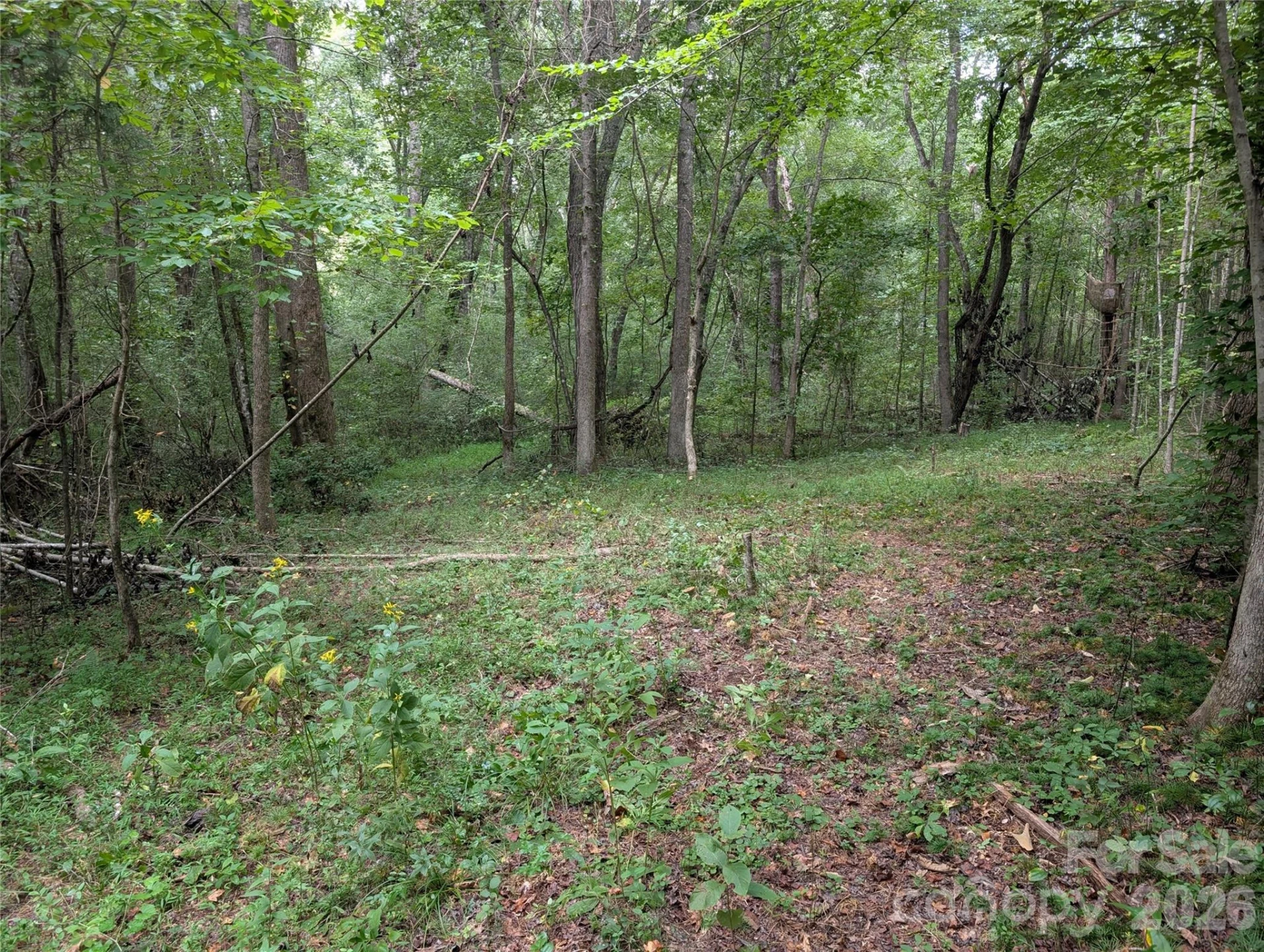 00 Pea Ridge Road - Photo 6