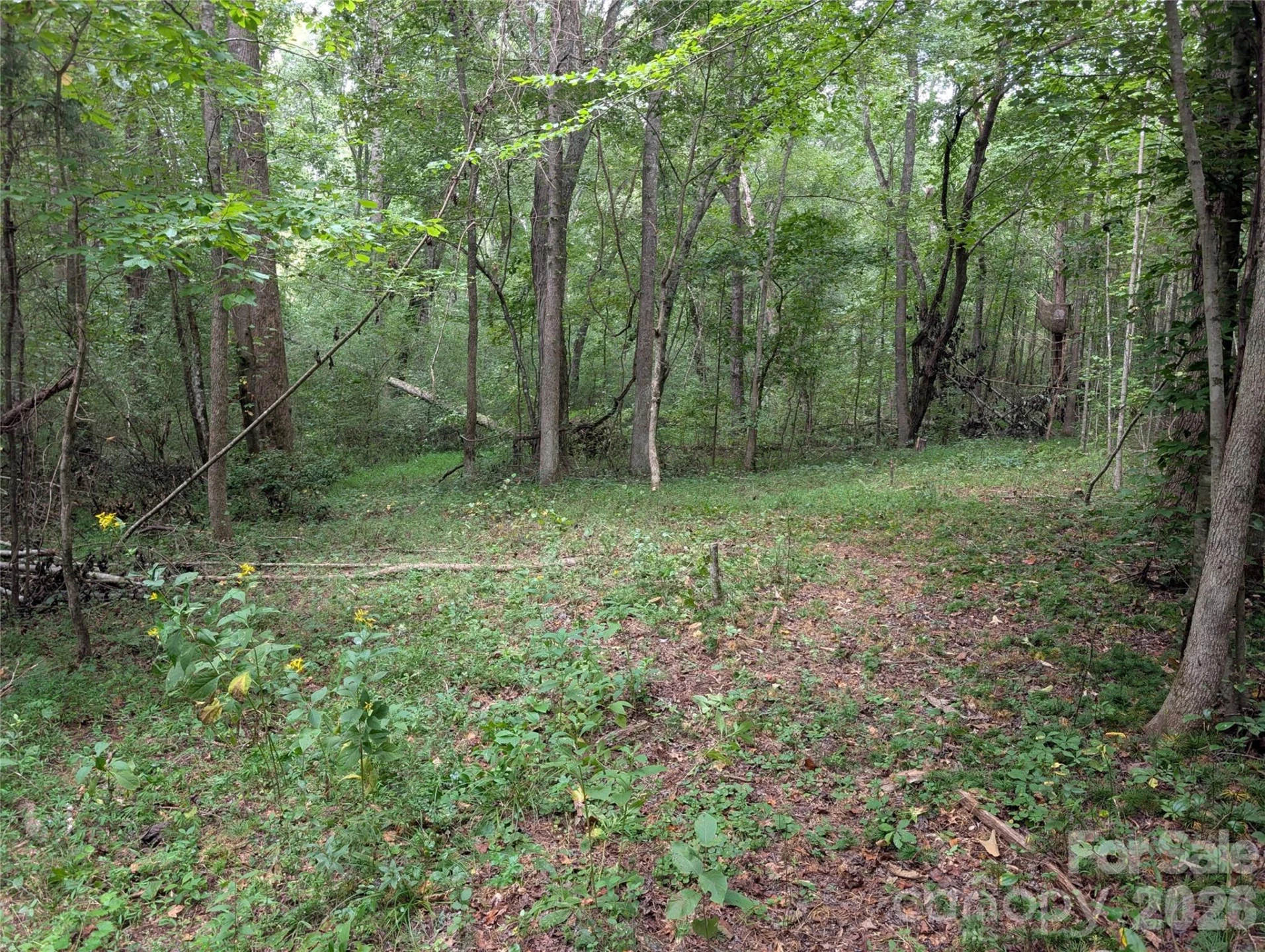 00 Pea Ridge Road - Photo 7