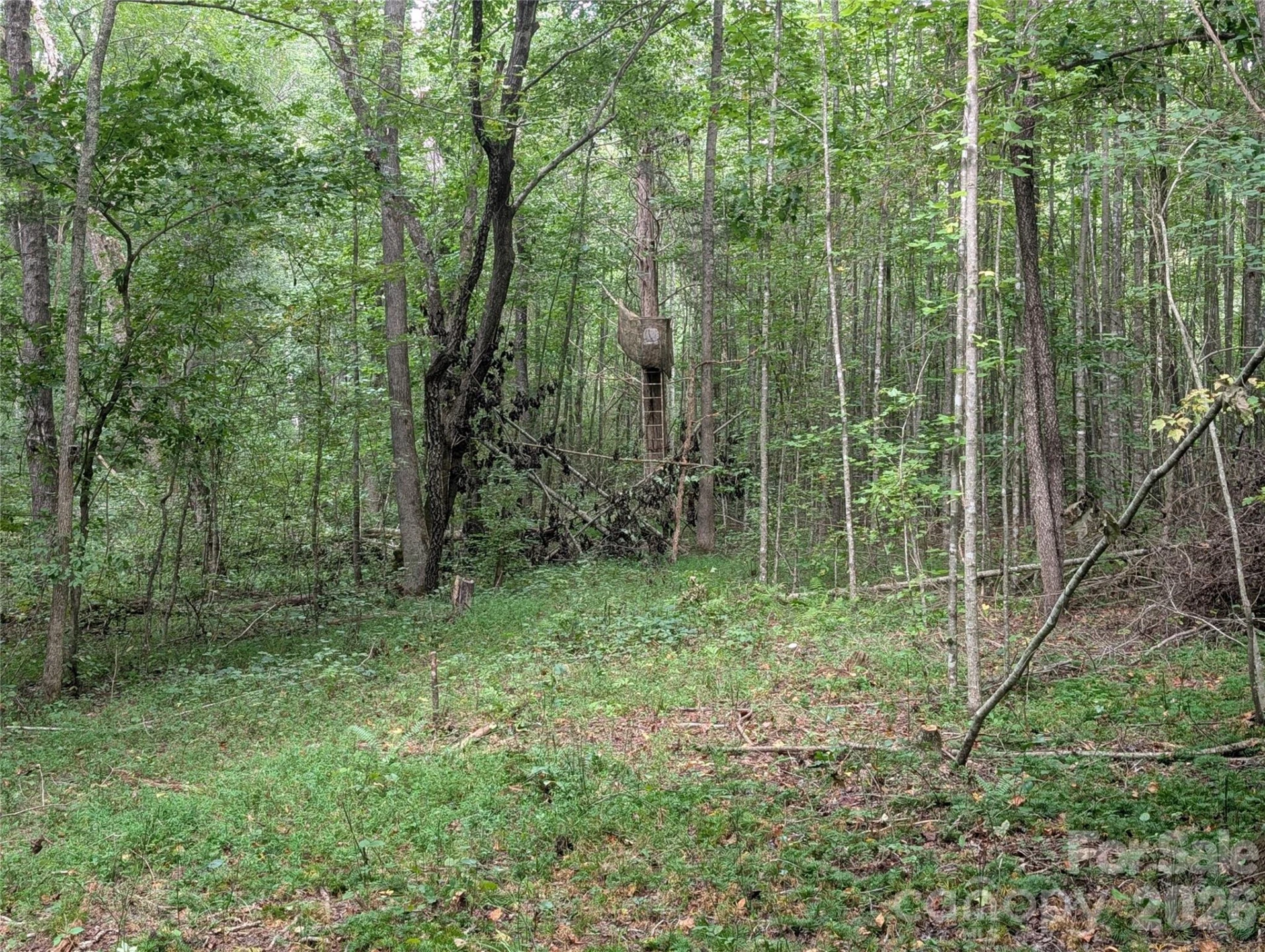 00 Pea Ridge Road - Photo 8