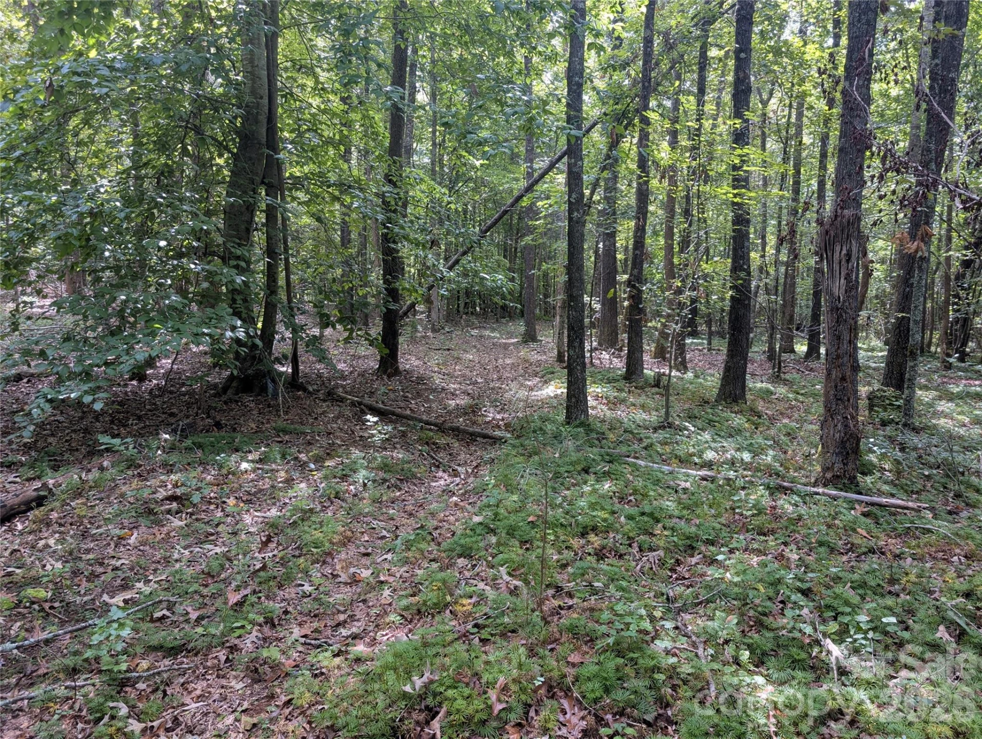 00 Pea Ridge Road - Photo 9