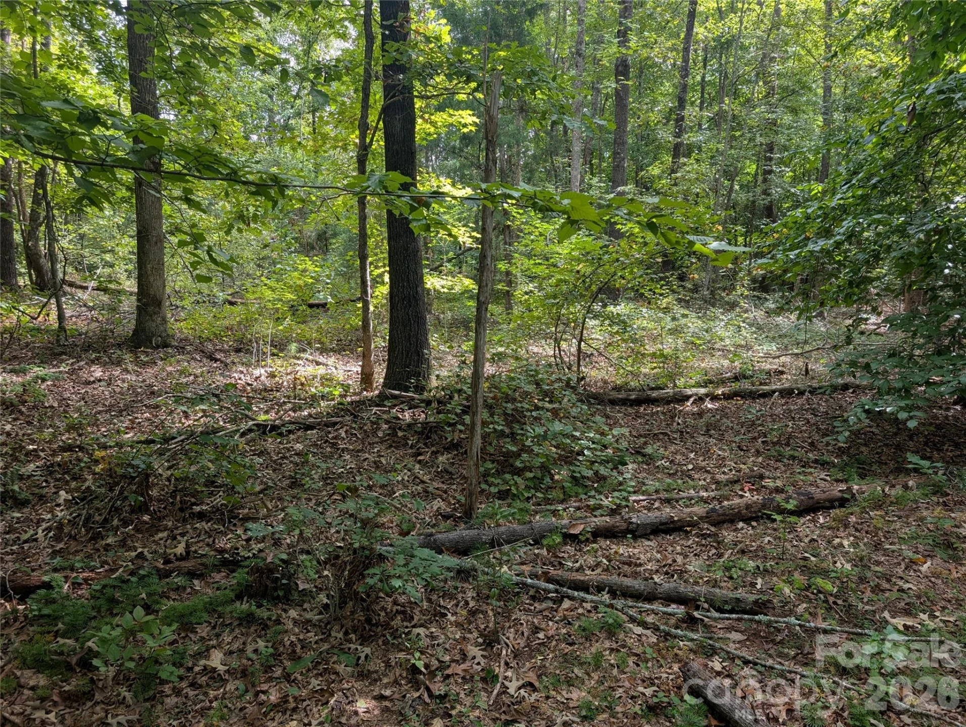 00 Pea Ridge Road - Photo 10