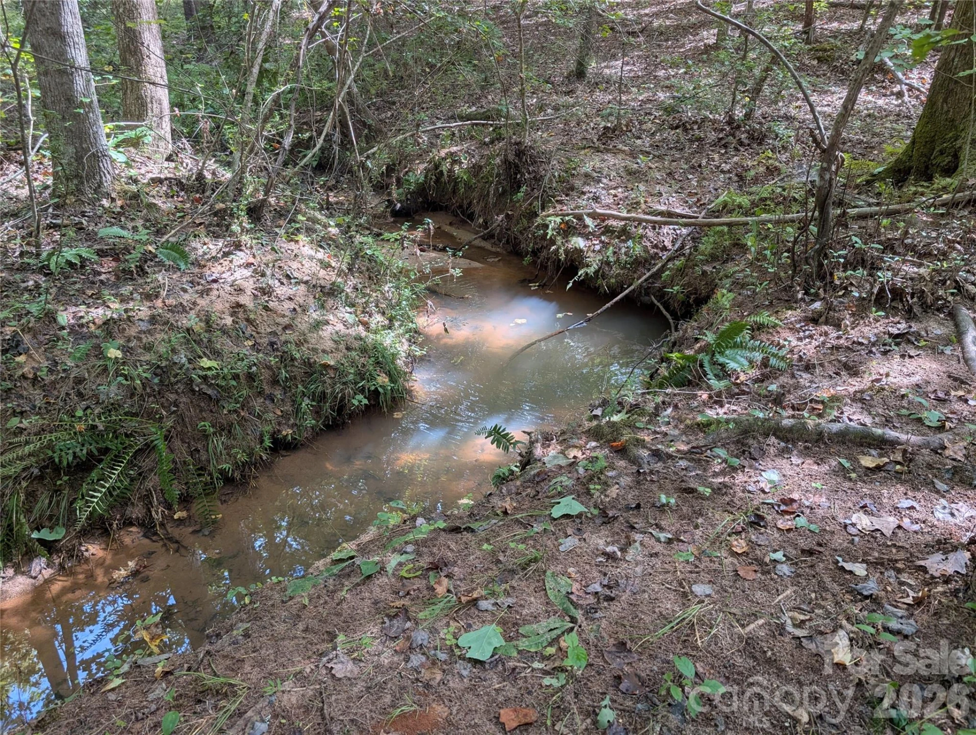 00 Pea Ridge Road - Photo 11