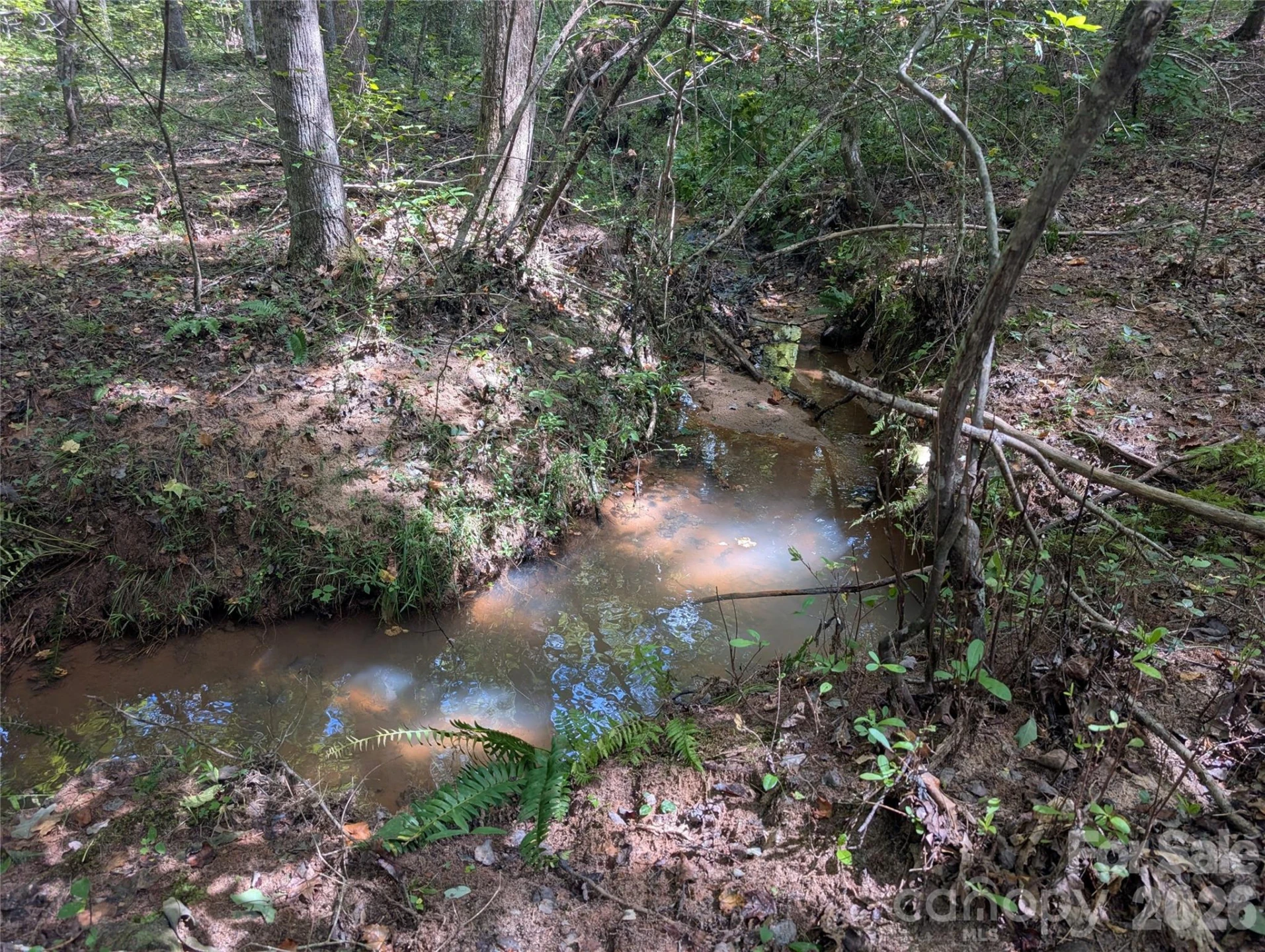 00 Pea Ridge Road - Photo 12