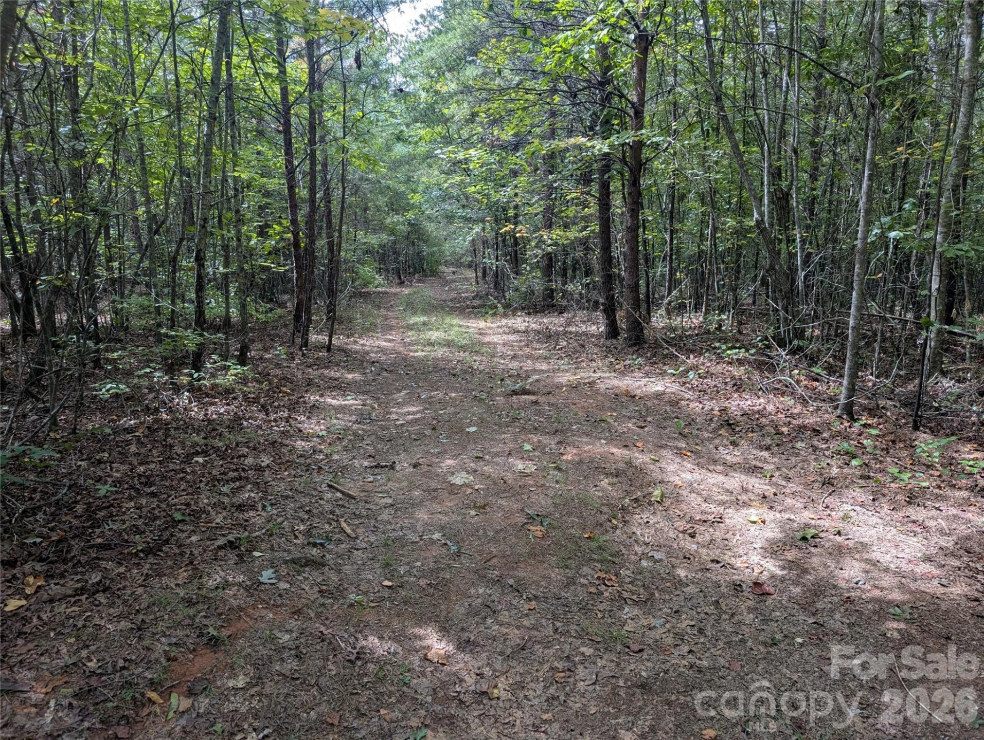 00 Pea Ridge Road - Photo 13
