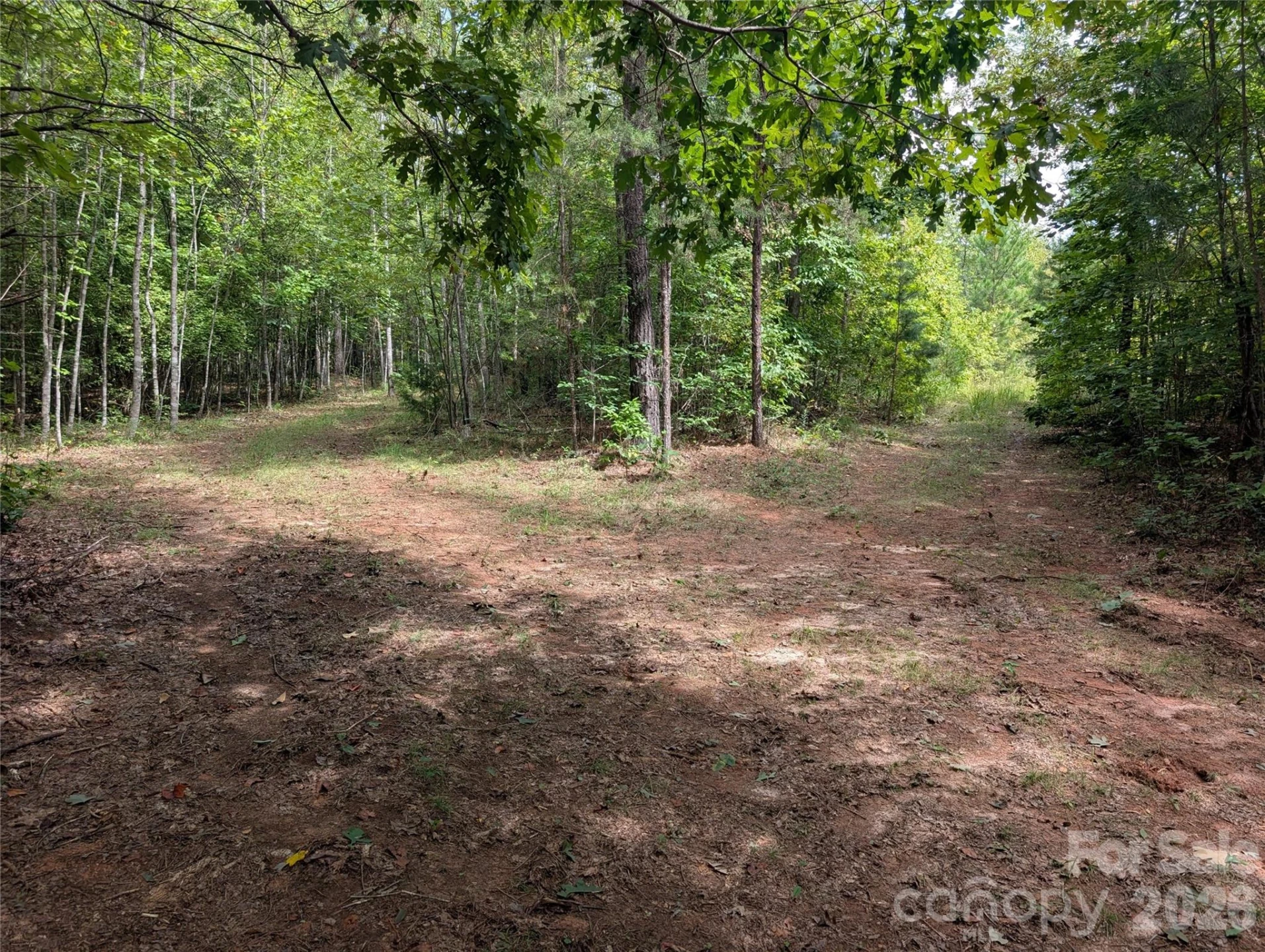 00 Pea Ridge Road - Photo 14