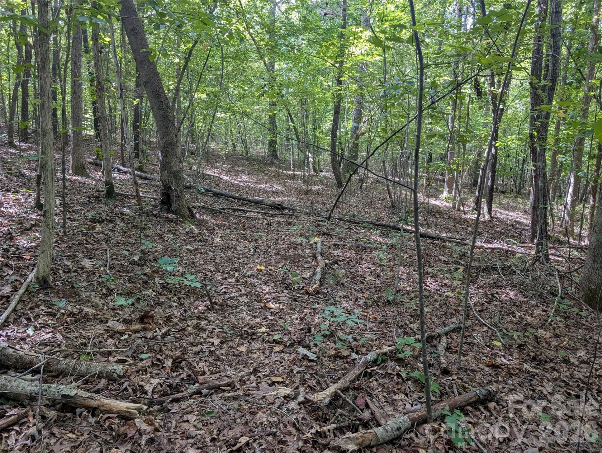 00 Pea Ridge Road - Photo 15