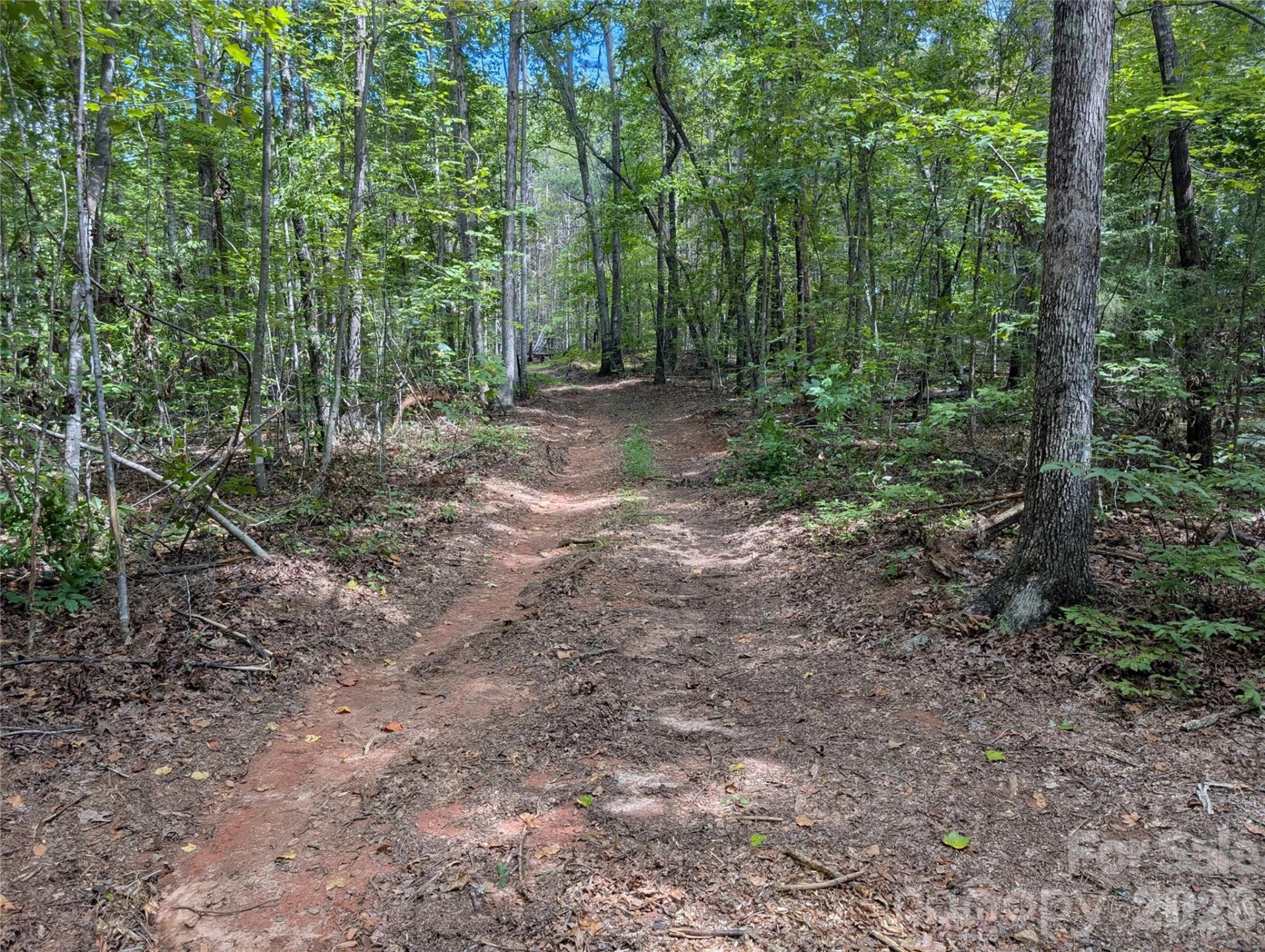 00 Pea Ridge Road - Photo 16