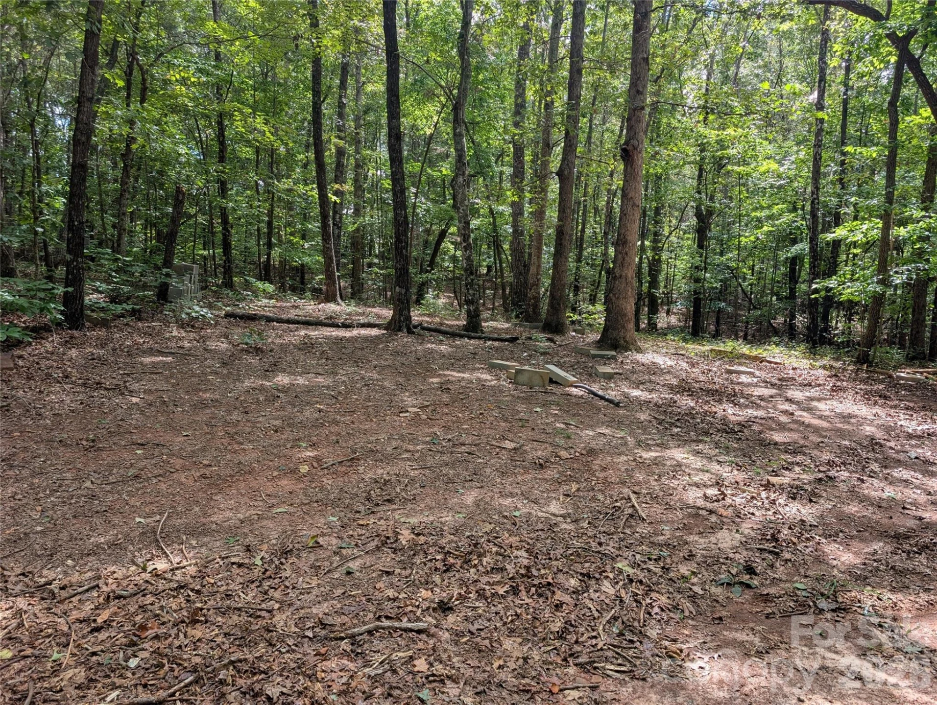 00 Pea Ridge Road - Photo 17