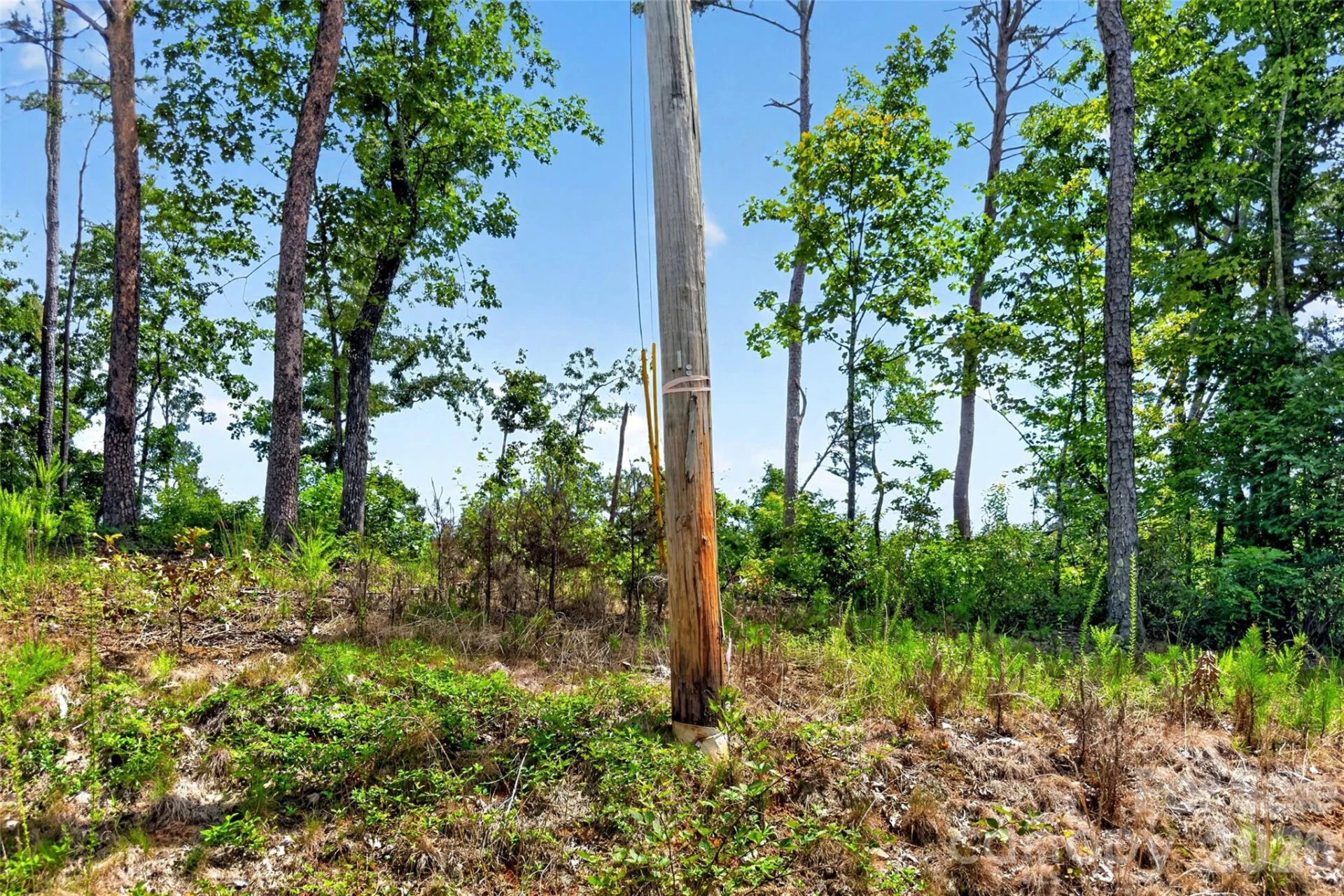 TBD Antioch Road - Photo 2