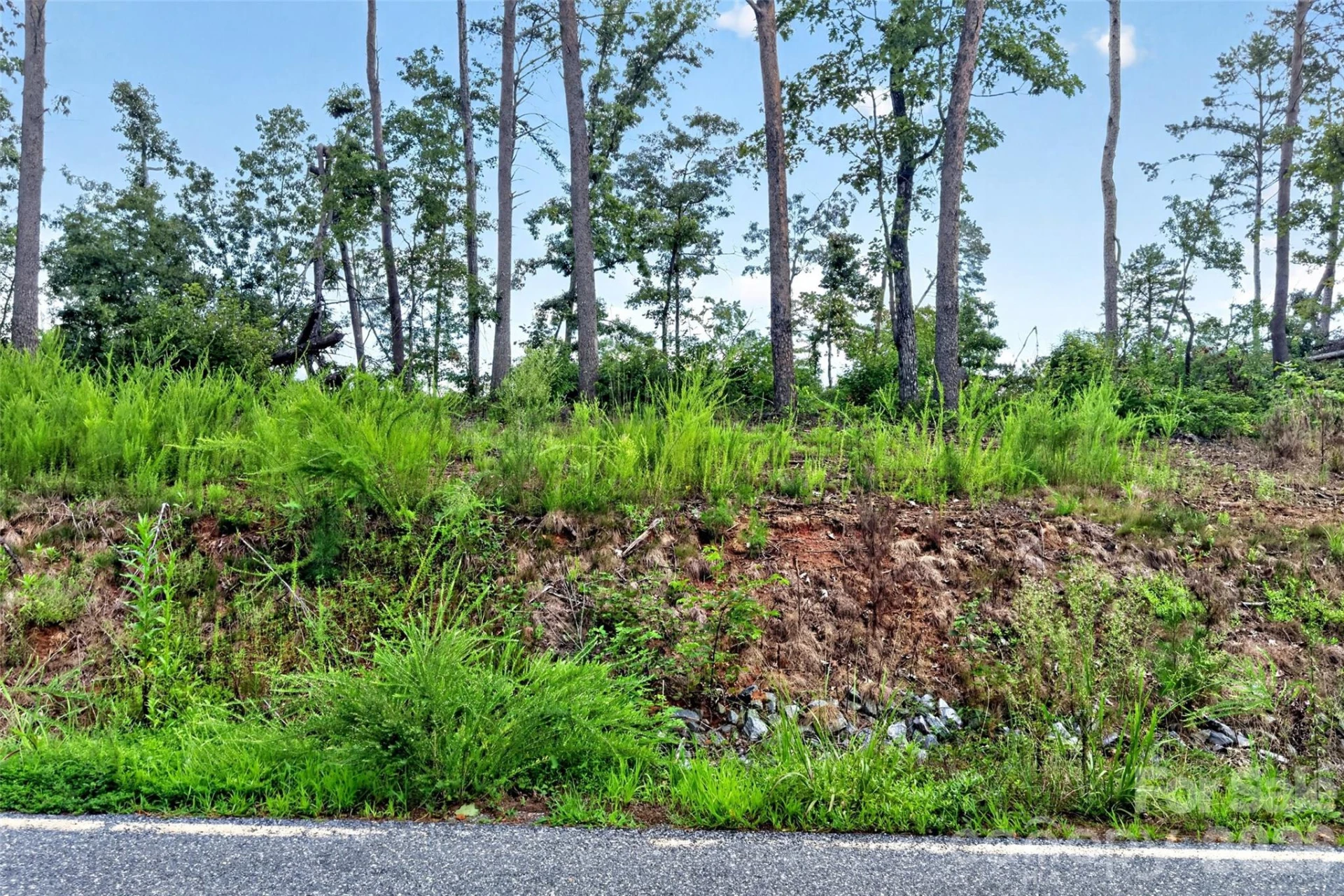 TBD Antioch Road - Photo 3