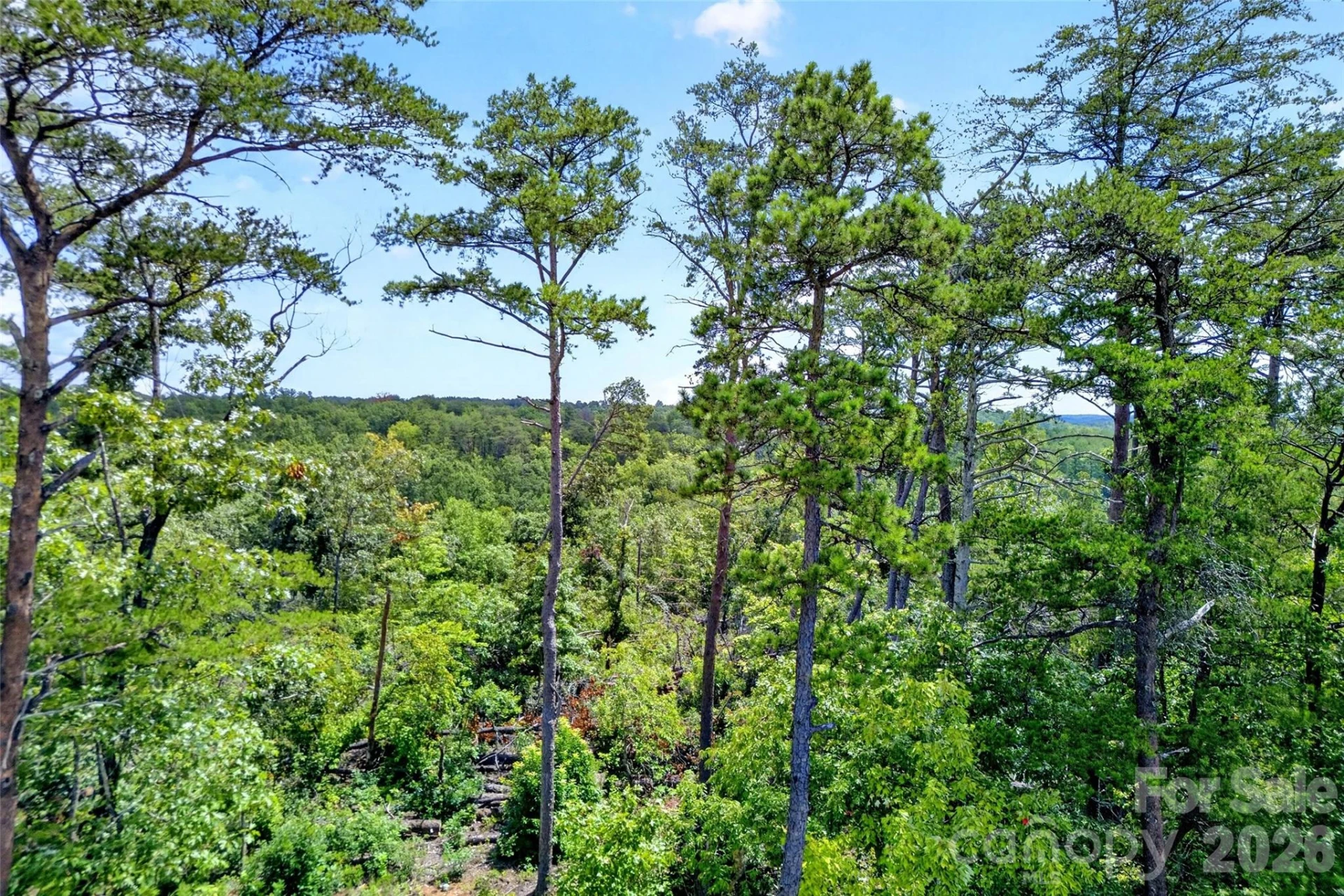 TBD Antioch Road - Photo 5