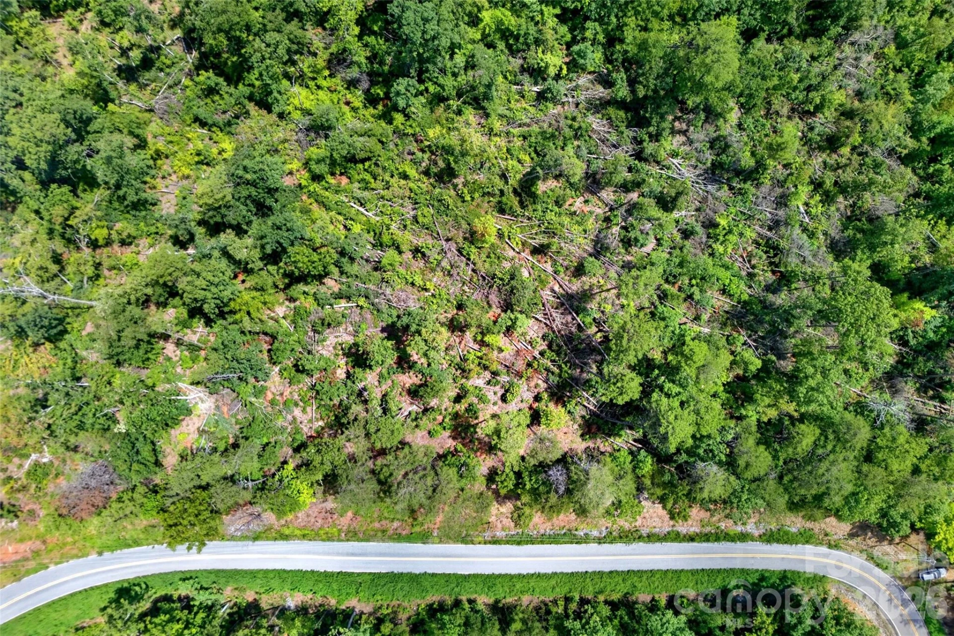TBD Antioch Road - Photo 16