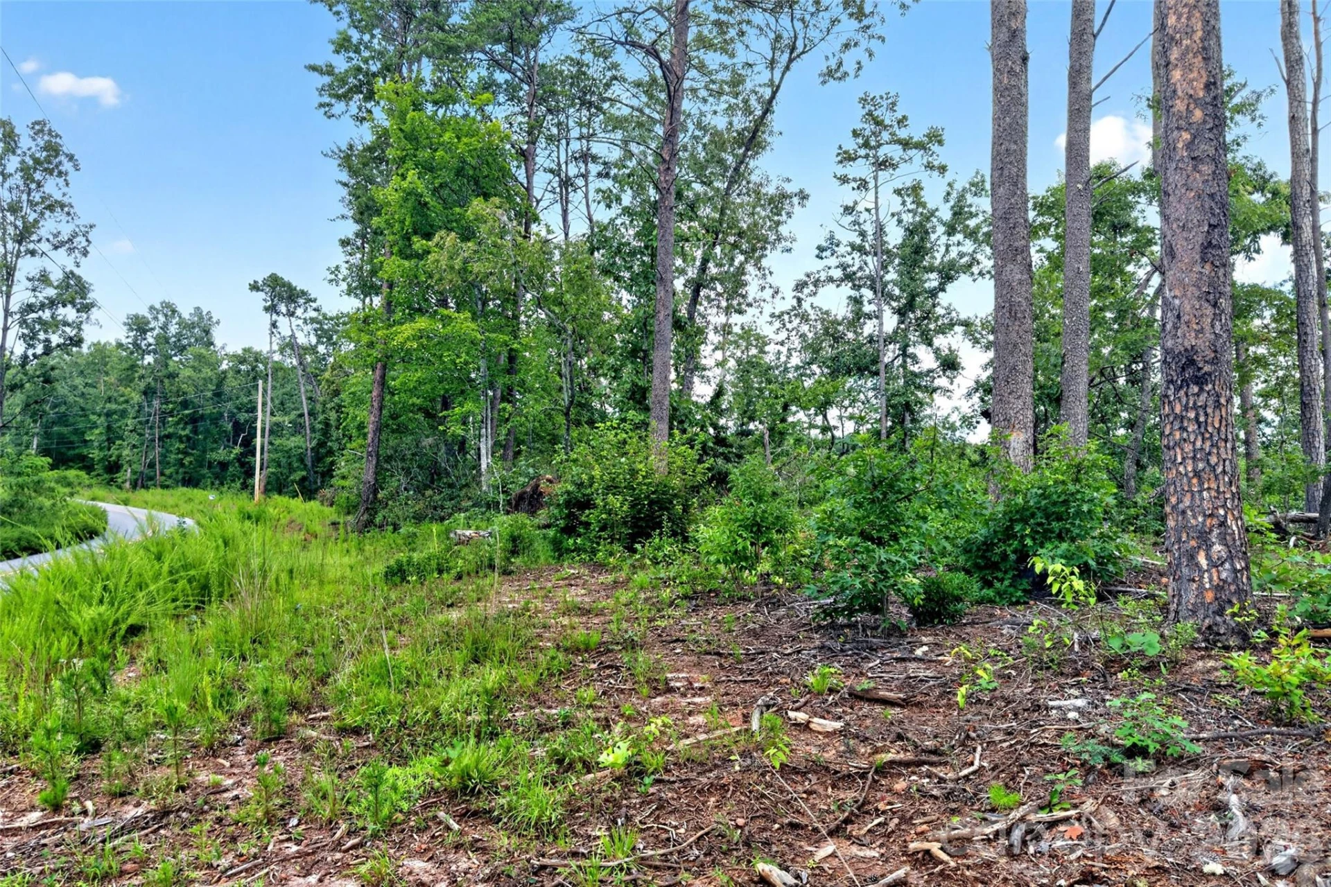 TBD Antioch Road - Photo 19