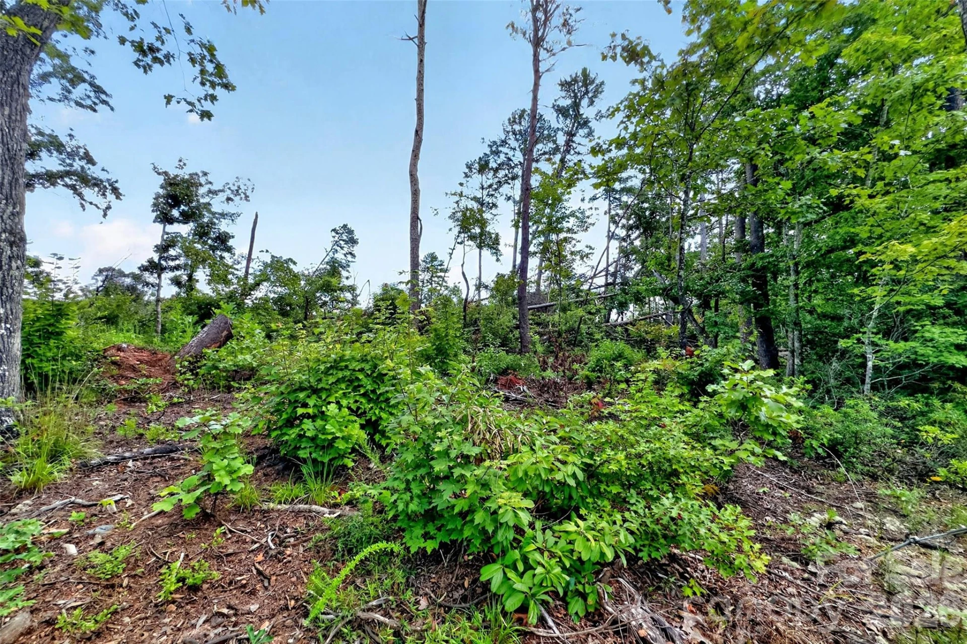TBD Antioch Road - Photo 20
