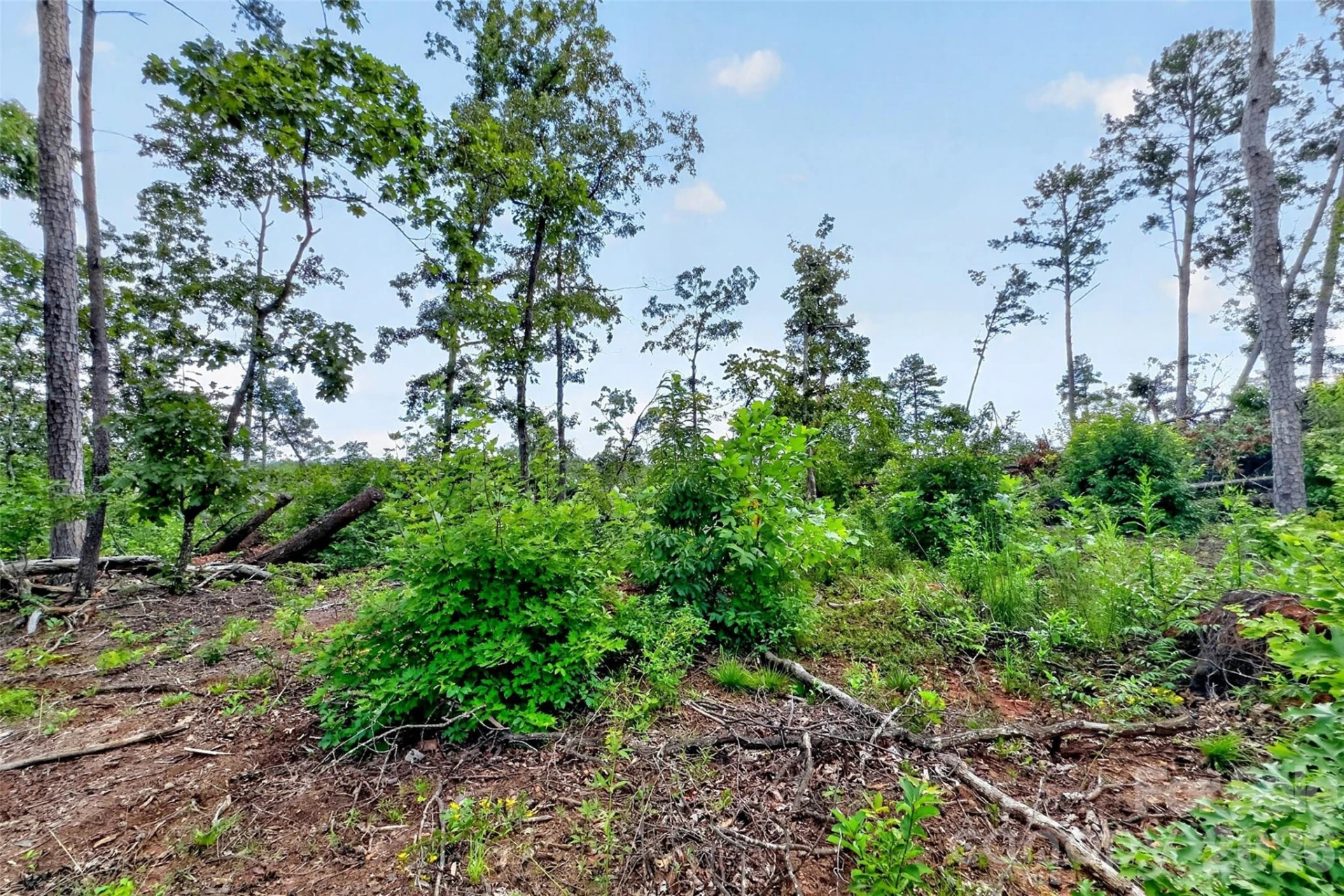 TBD Antioch Road - Photo 21