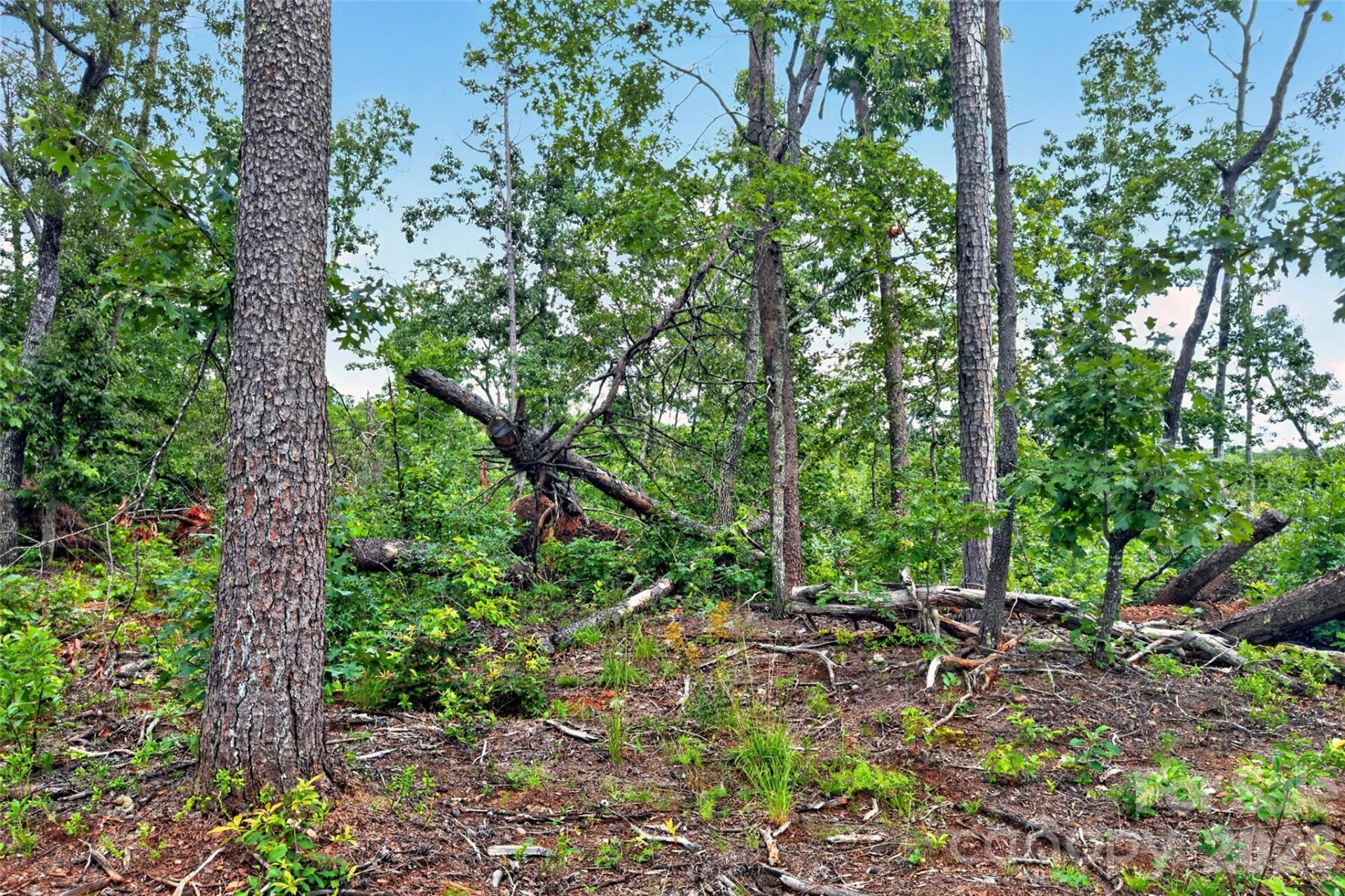 TBD Antioch Road - Photo 22