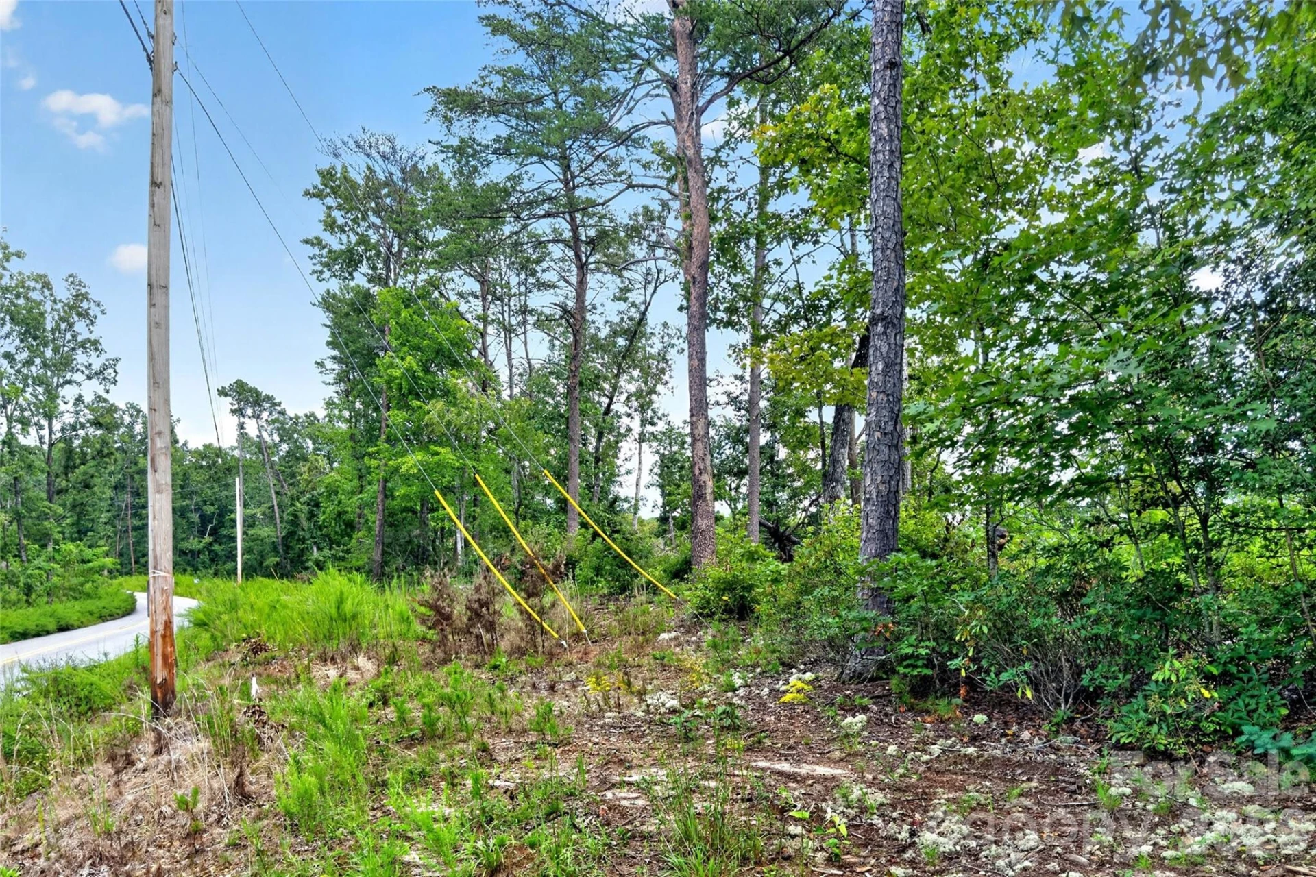 TBD Antioch Road - Photo 23