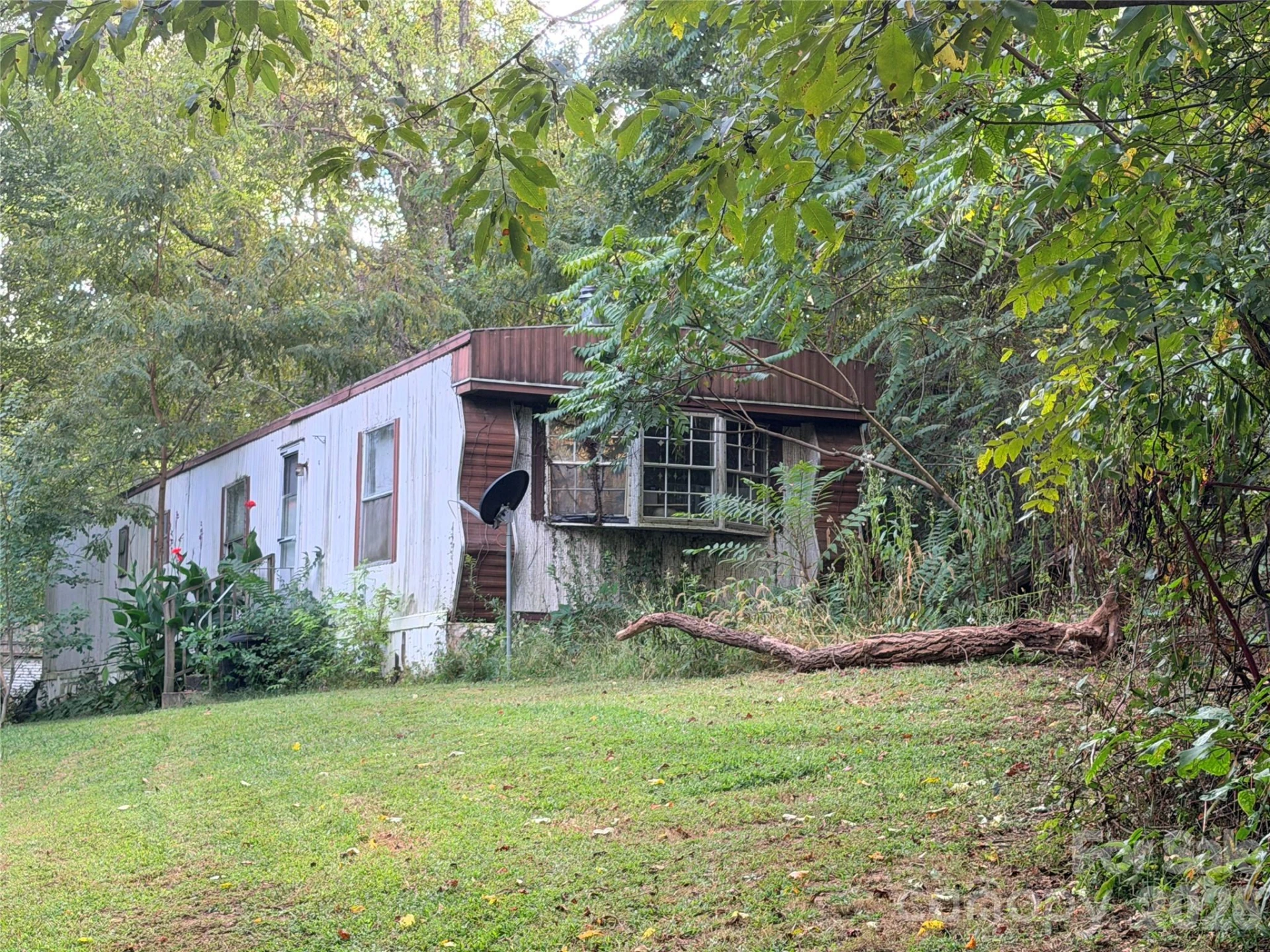 173 & 175 Dix Creek Chapel Road - Photo 2