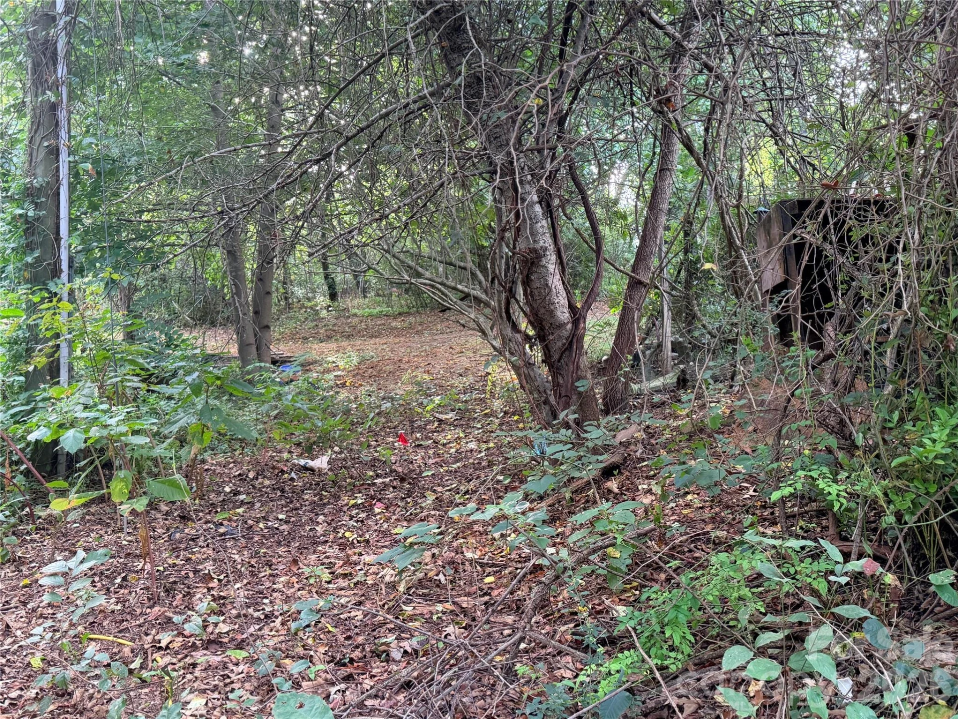 173 & 175 Dix Creek Chapel Road - Photo 3