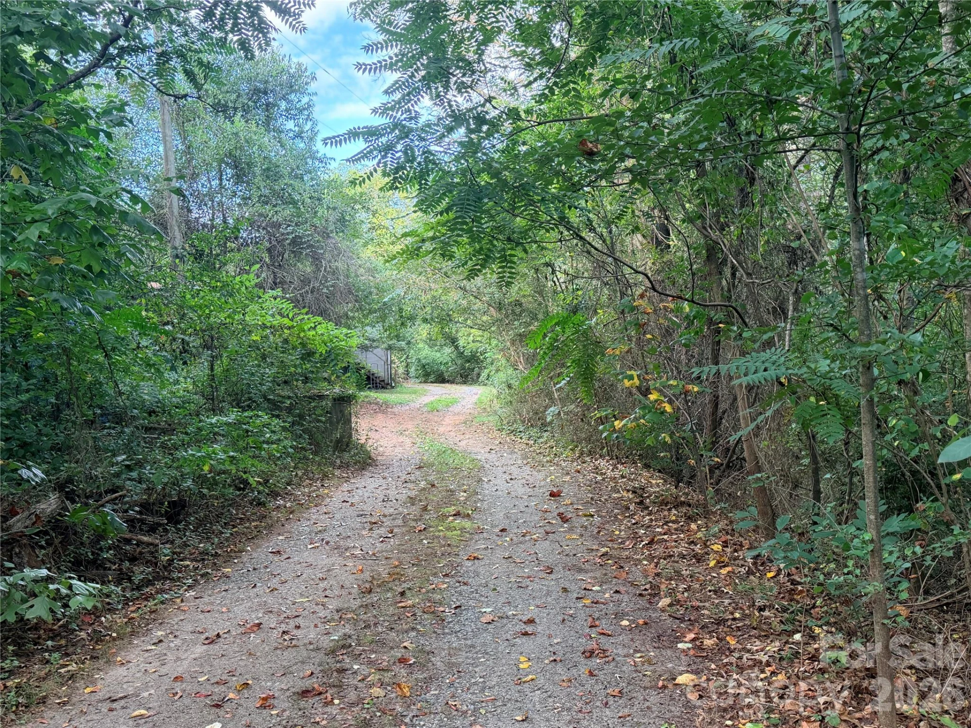 173 & 175 Dix Creek Chapel Road - Photo 10