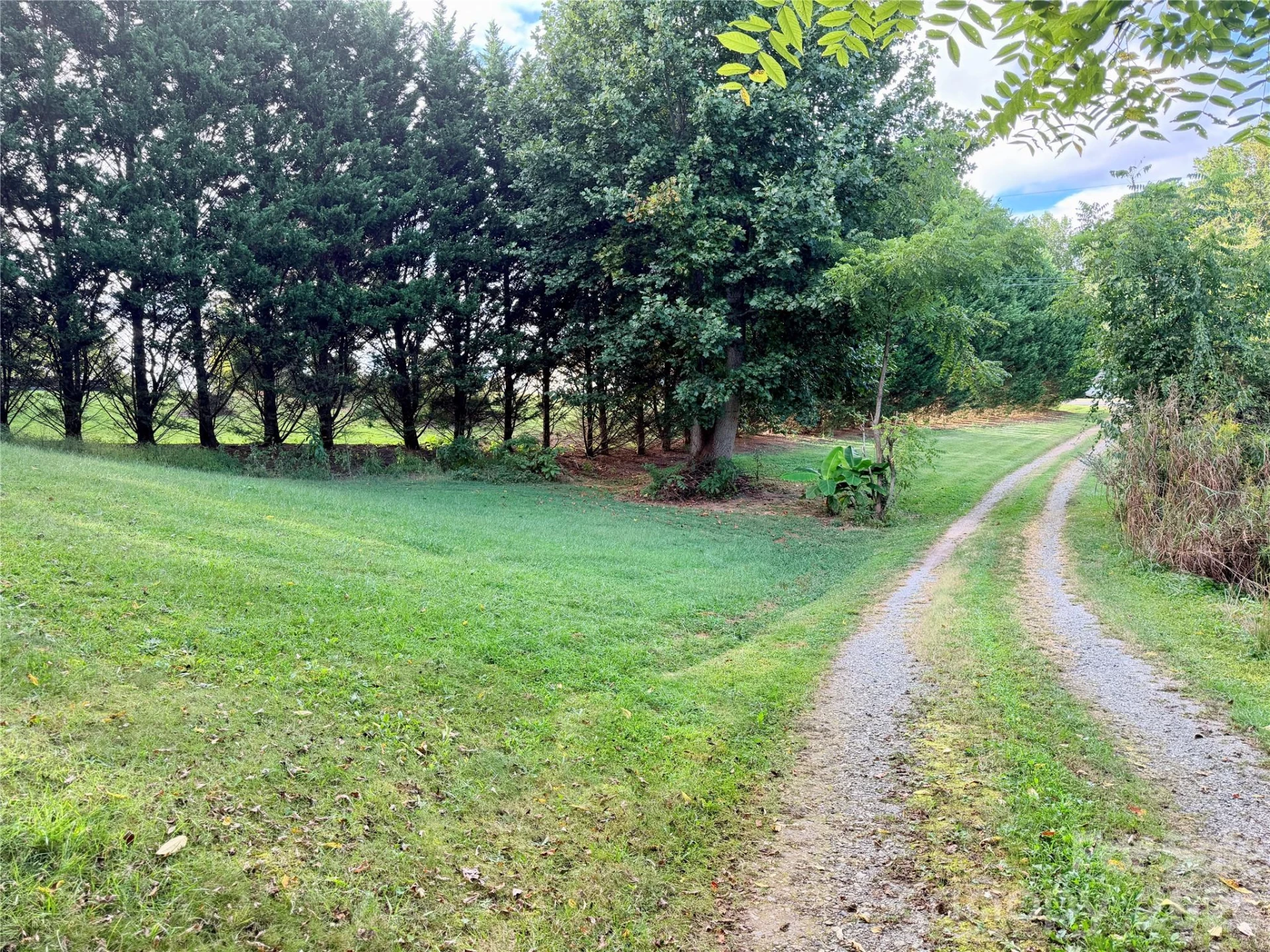 173 & 175 Dix Creek Chapel Road - Photo 13