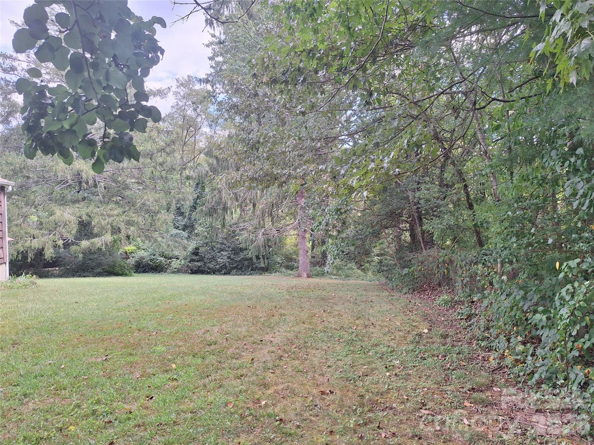 16 Shannon Drive - Photo 8