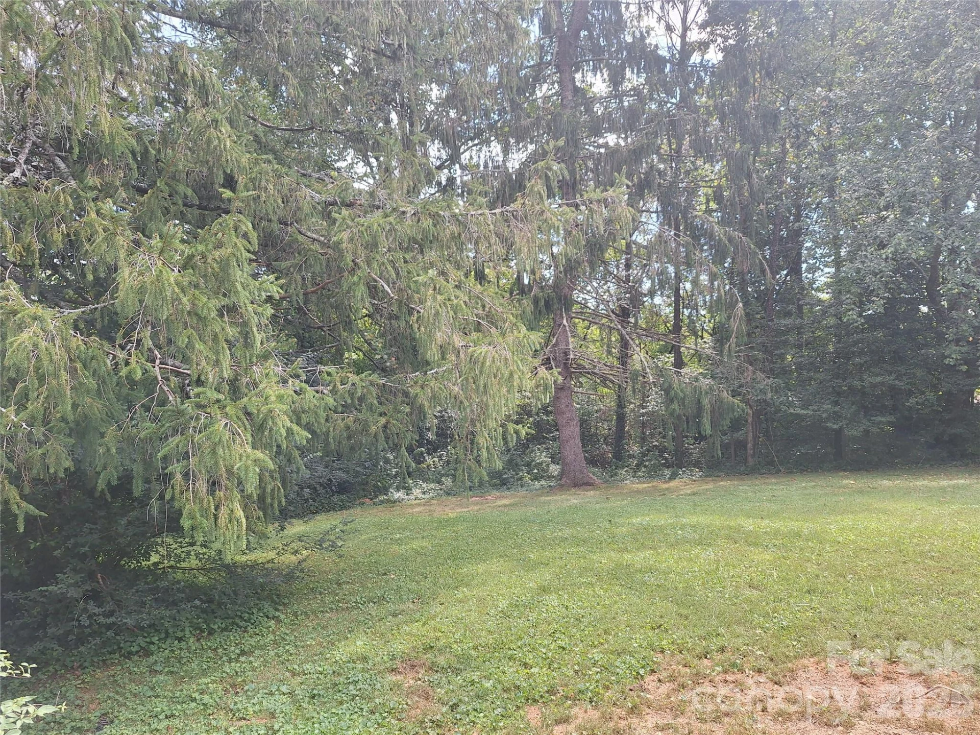 16 Shannon Drive - Photo 9