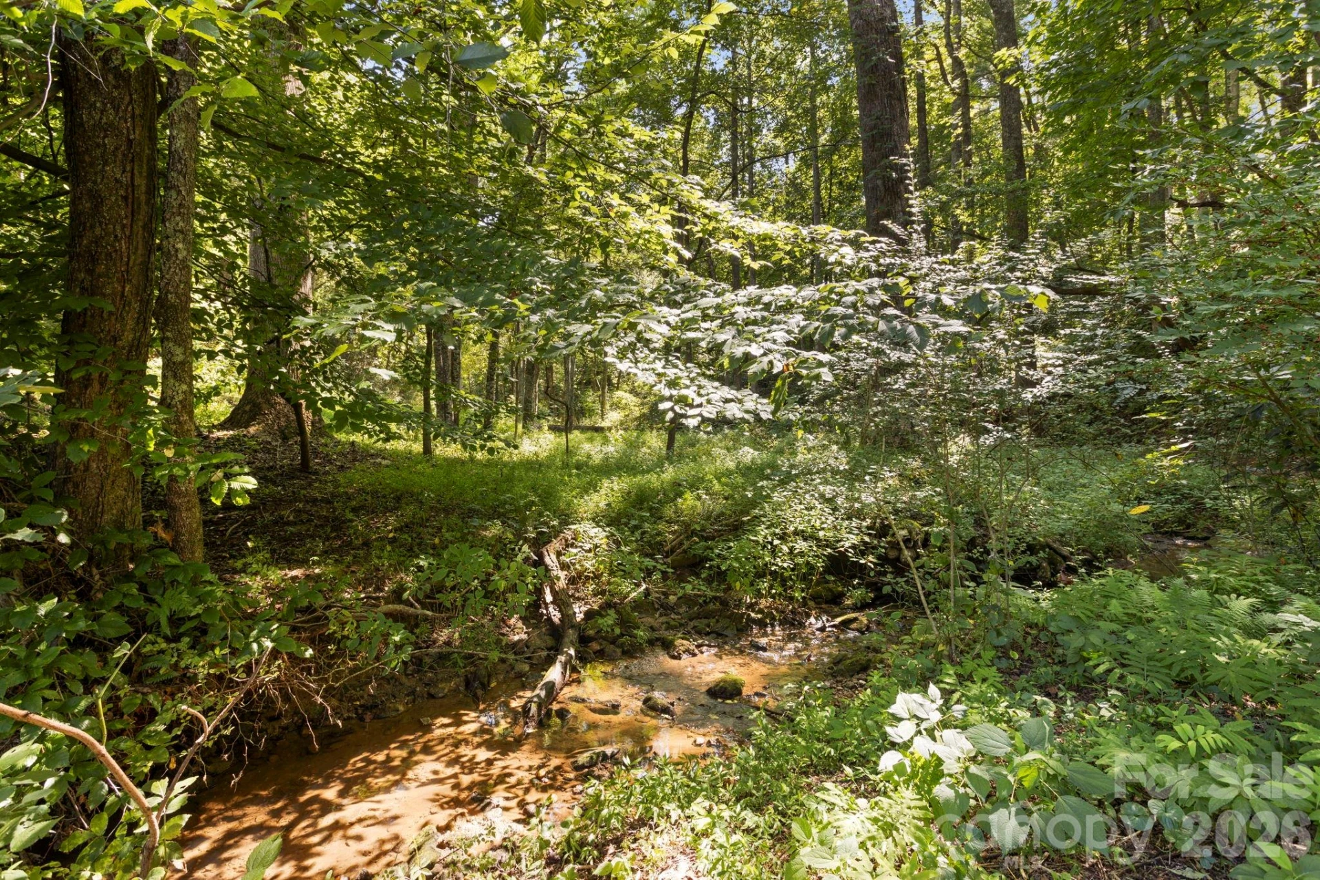 400 Laurel Drive - Photo 33