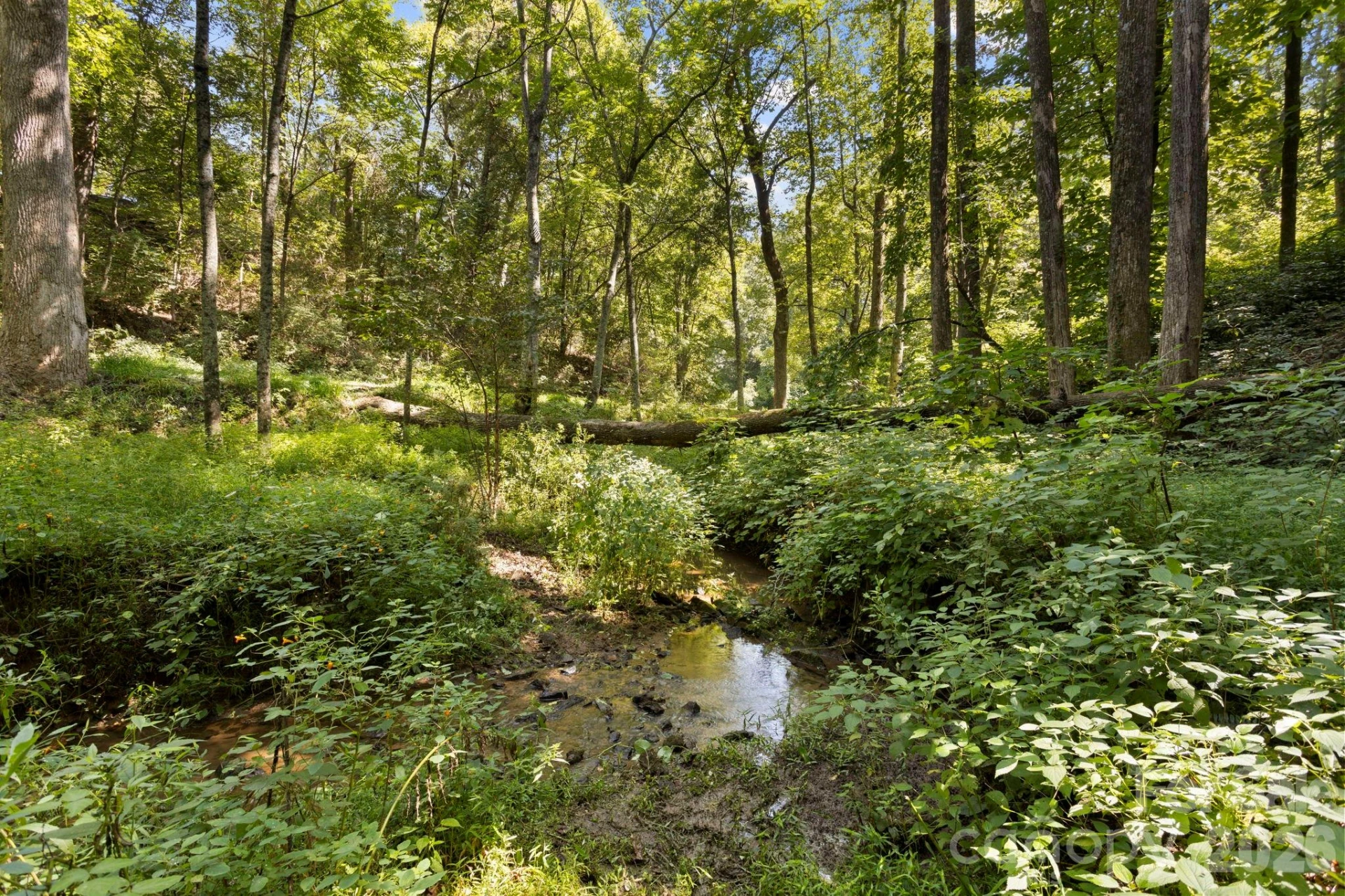 400 Laurel Drive - Photo 39