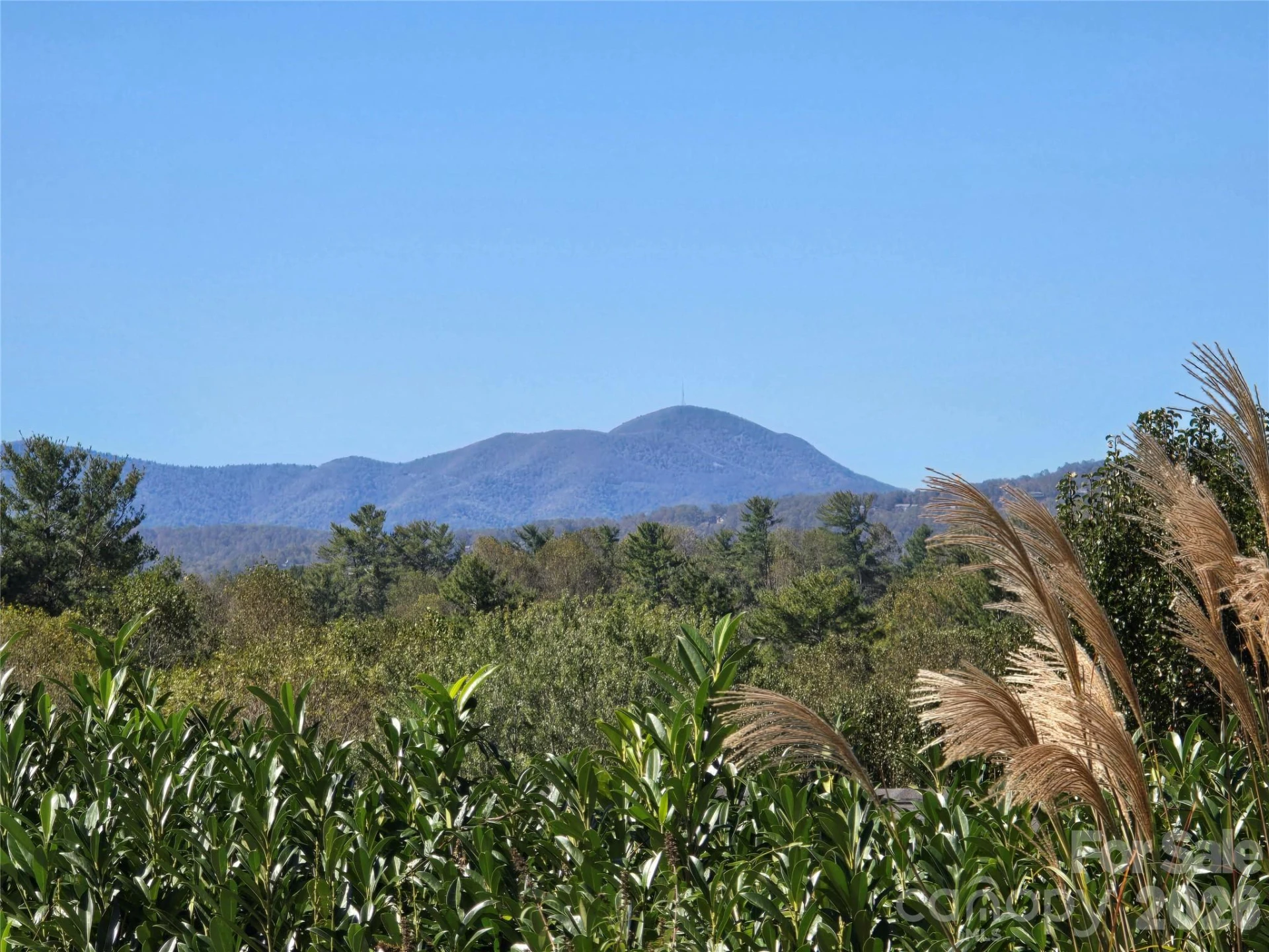 77 Stonehollow Road - Photo 28