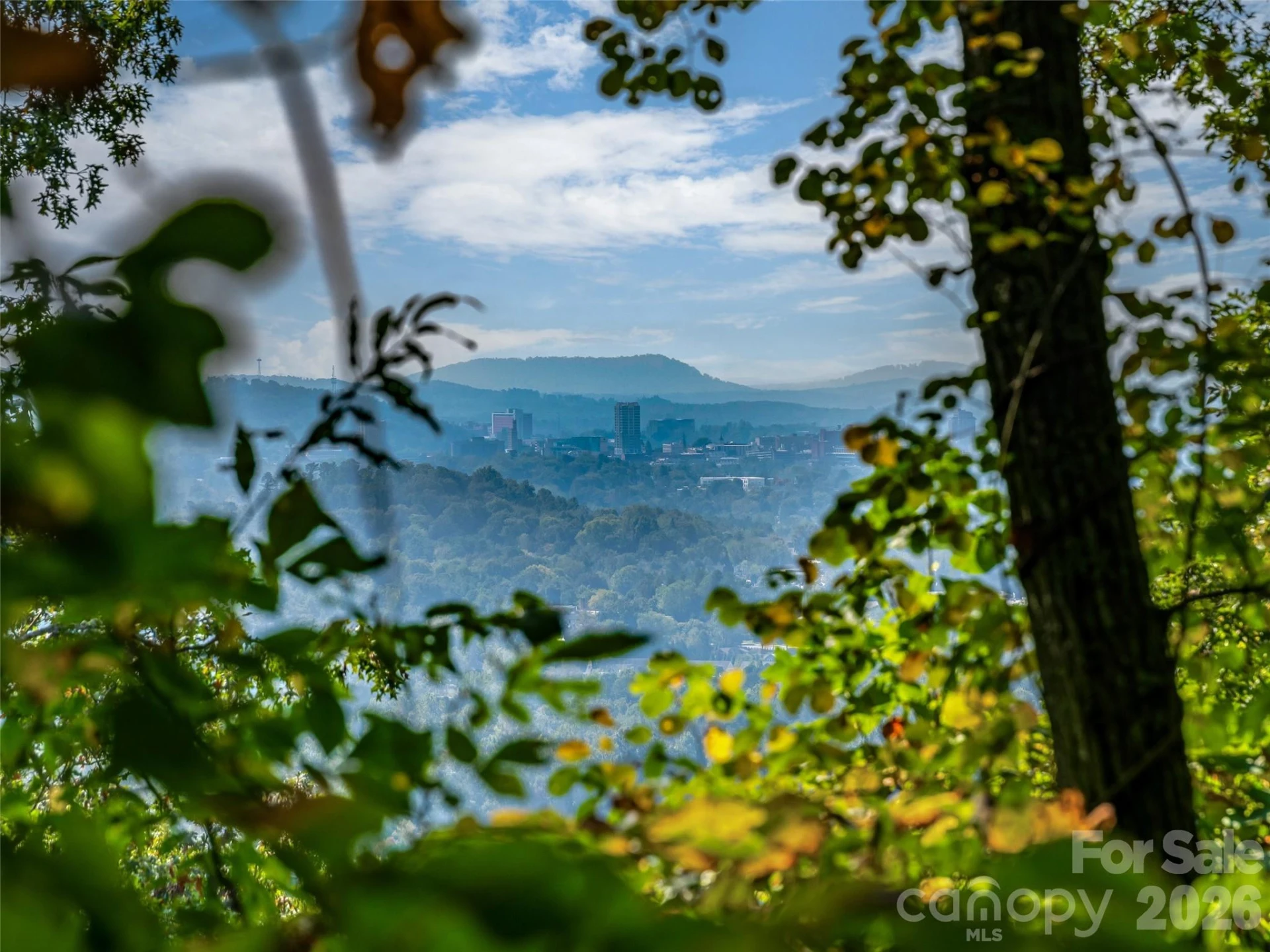 TBD Robinhood Road #2 - Photo 4