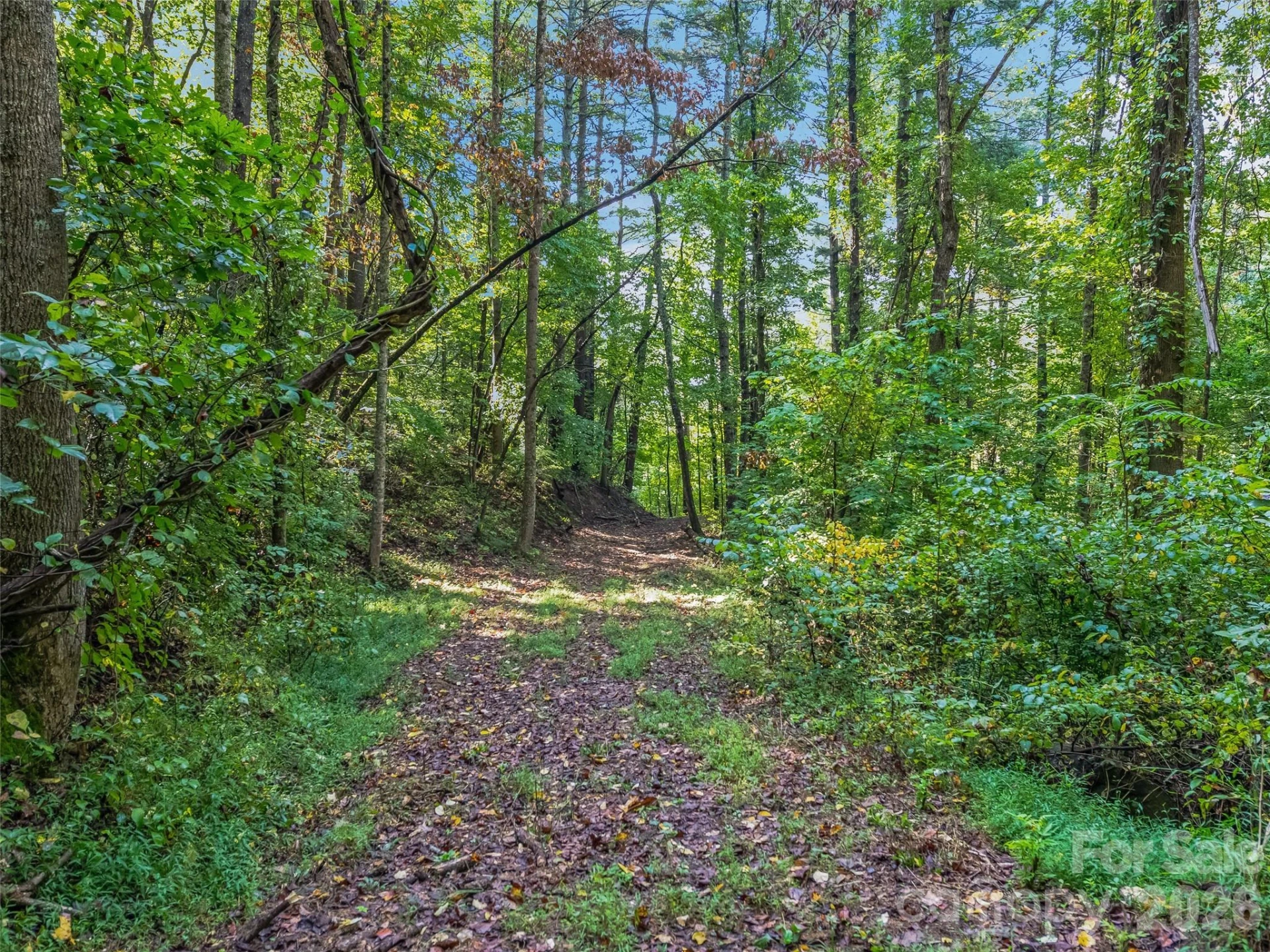 TBD Robinhood Road #2 - Photo 5