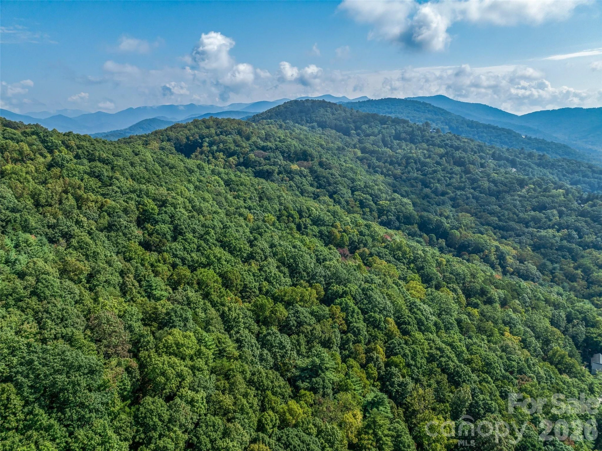 TBD Robinhood Road #2 - Photo 10