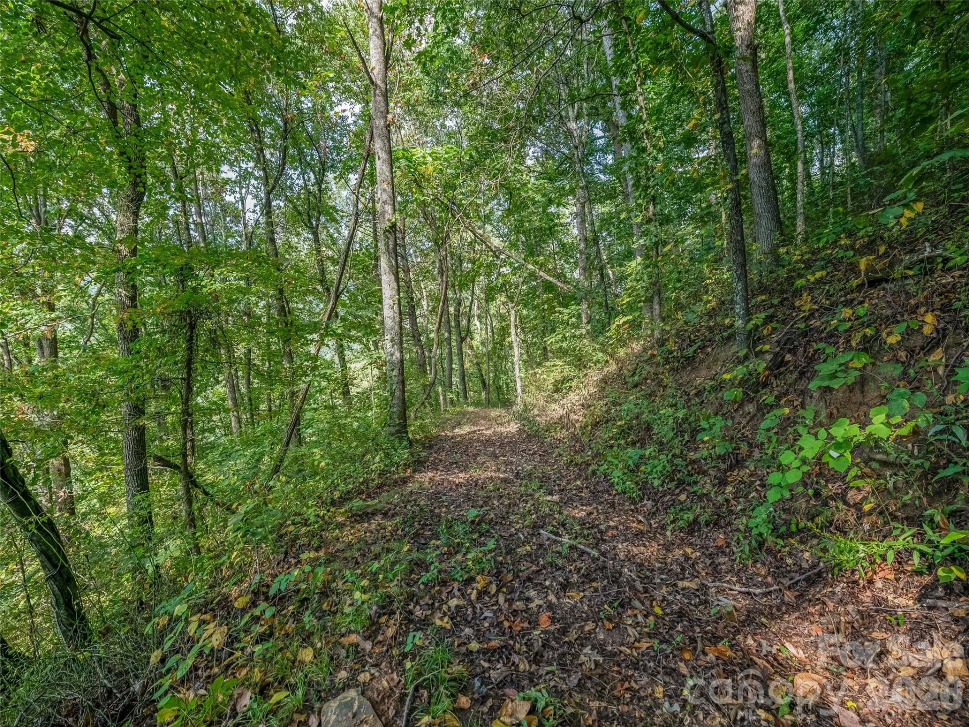 TBD Robinhood Road #2 - Photo 11