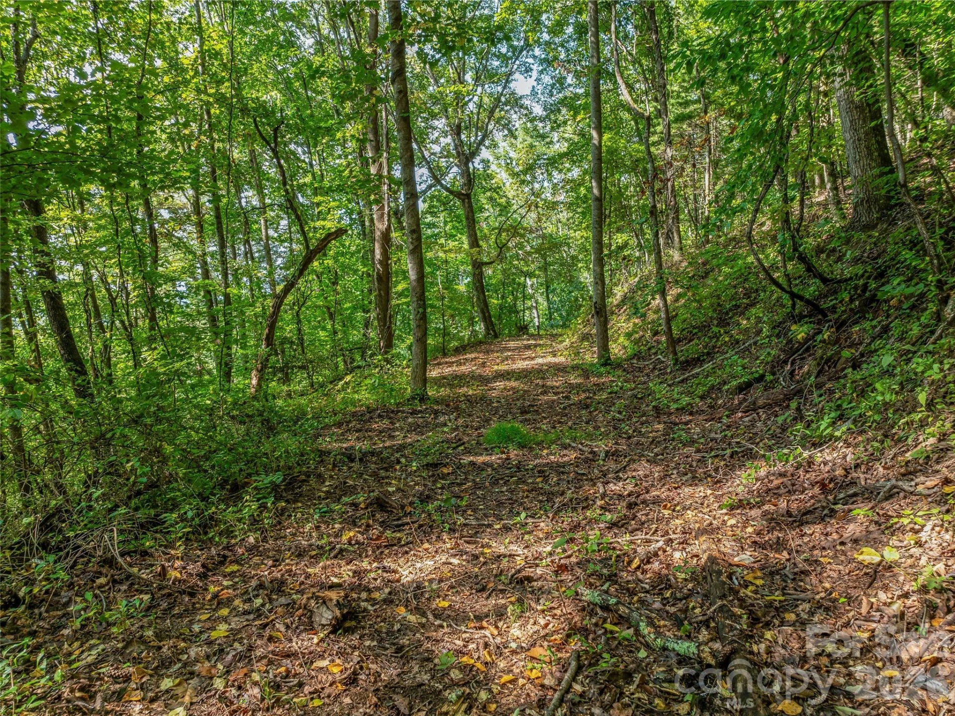 TBD Robinhood Road #2 - Photo 13