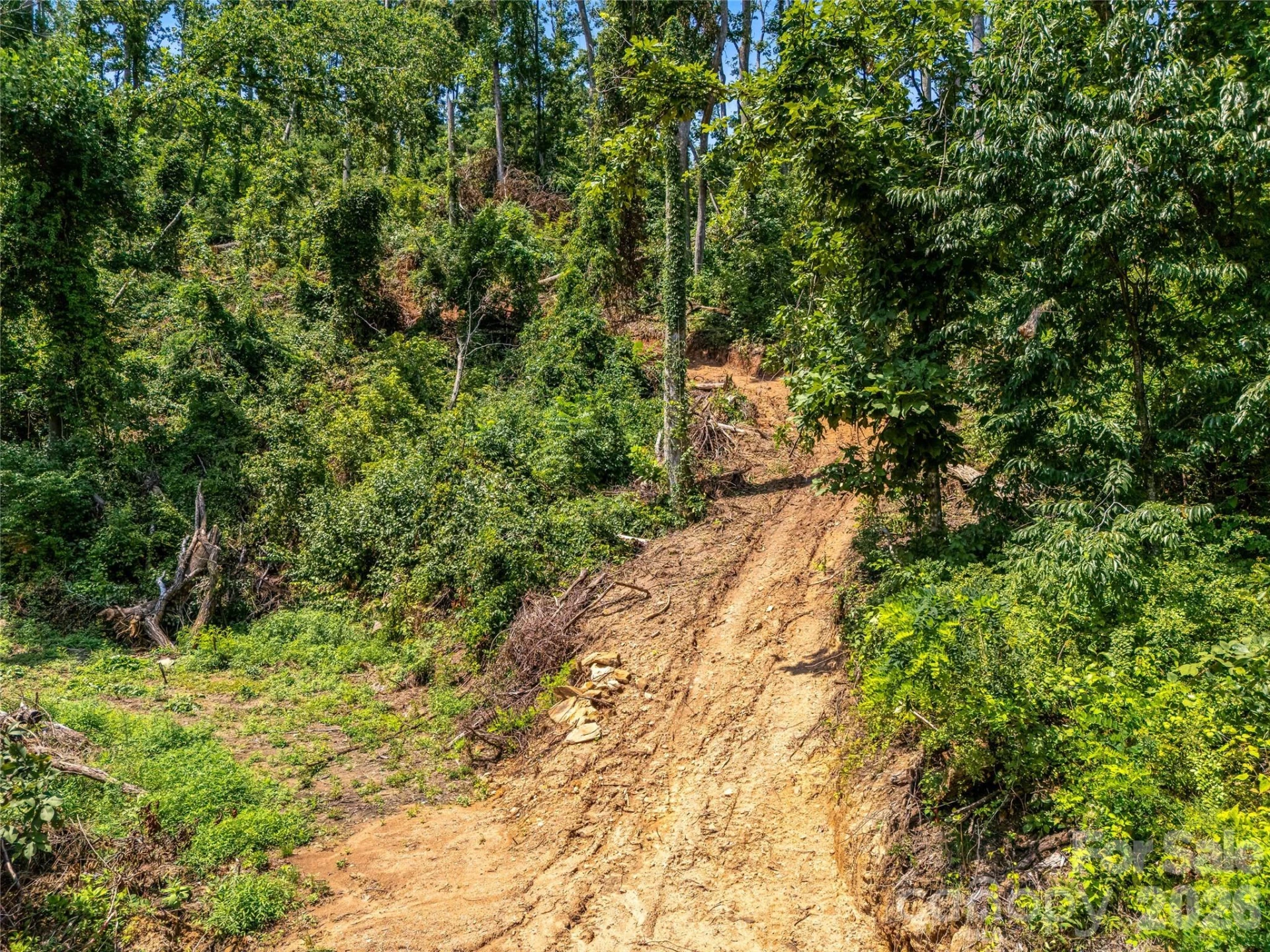 TBD Robinhood Road #2 - Photo 29