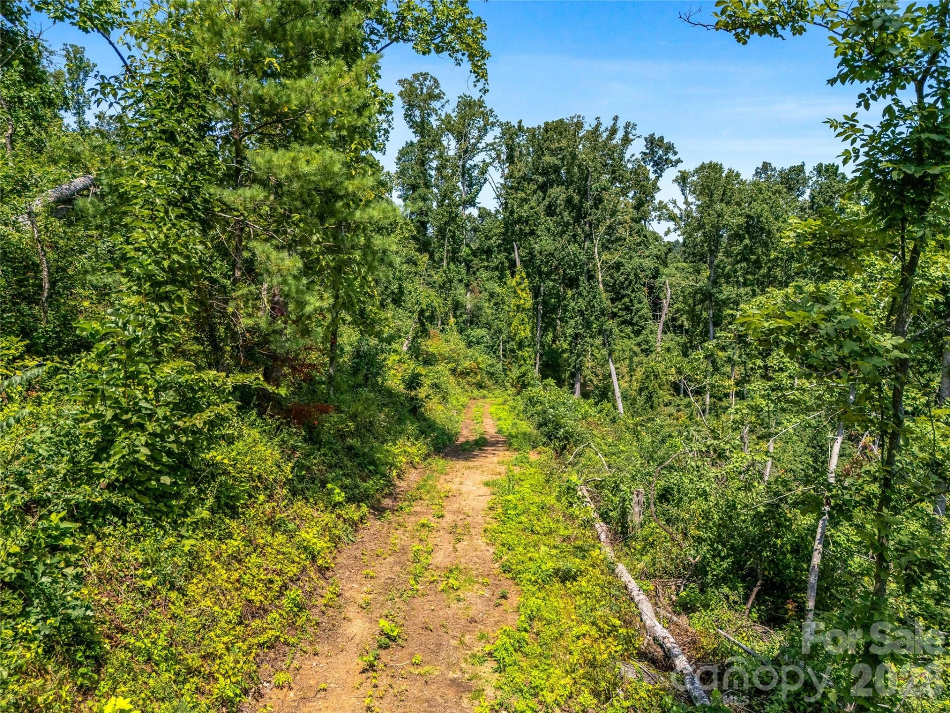 TBD Robinhood Road #2 - Photo 30
