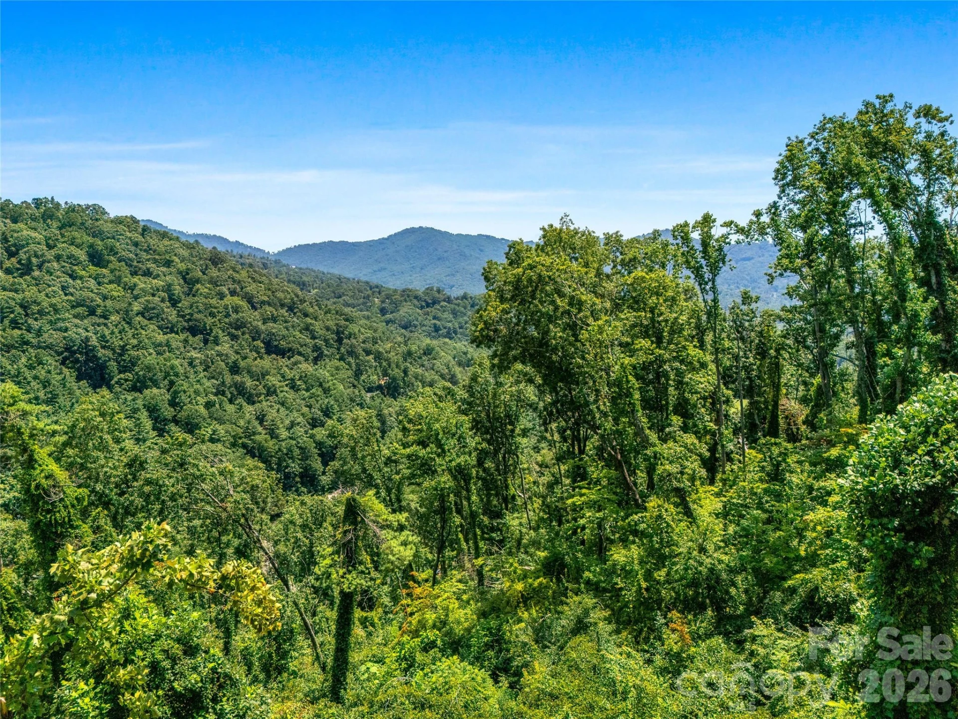 TBD Robinhood Road #2 - Photo 31