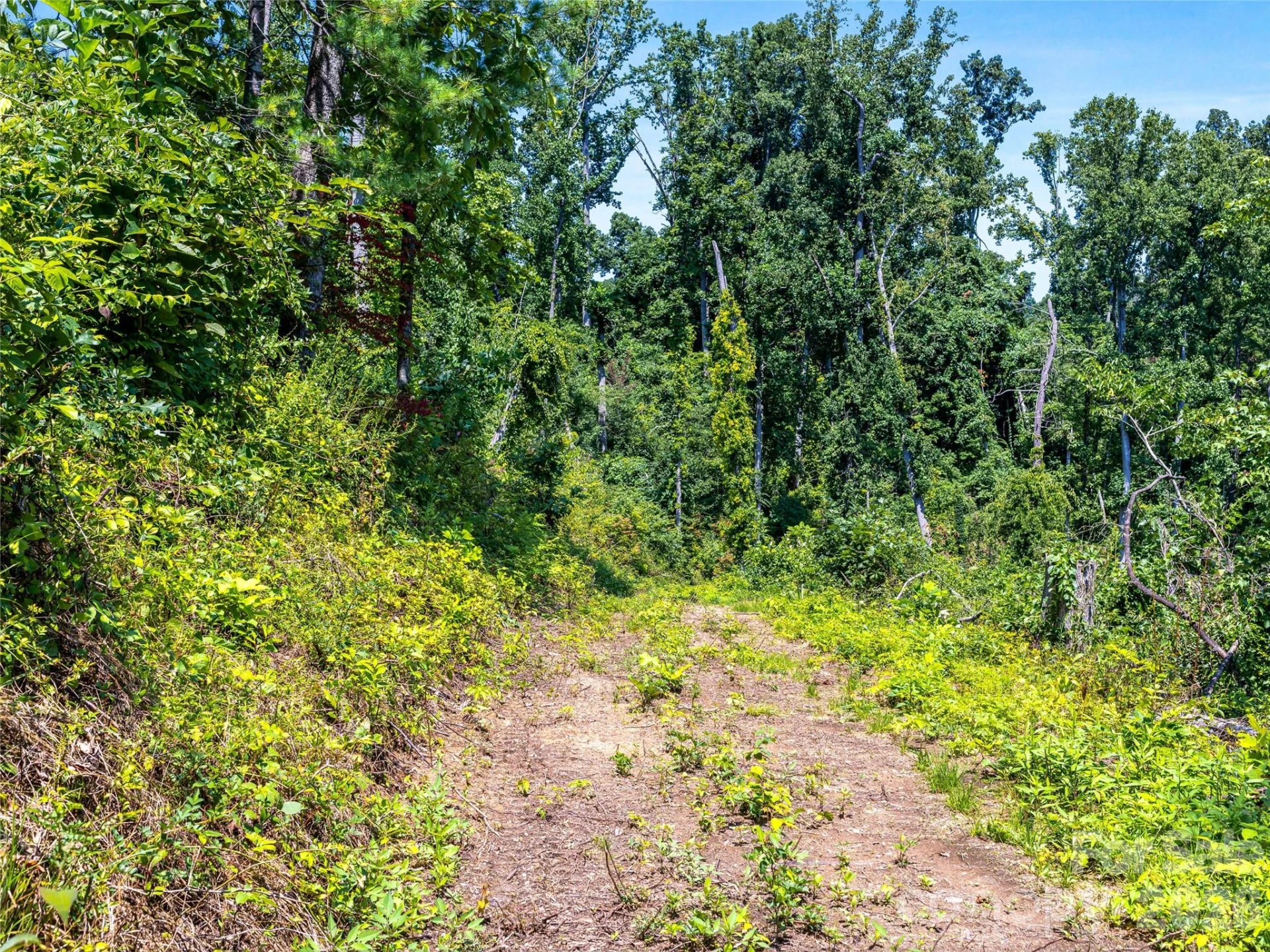 TBD Robinhood Road #2 - Photo 33