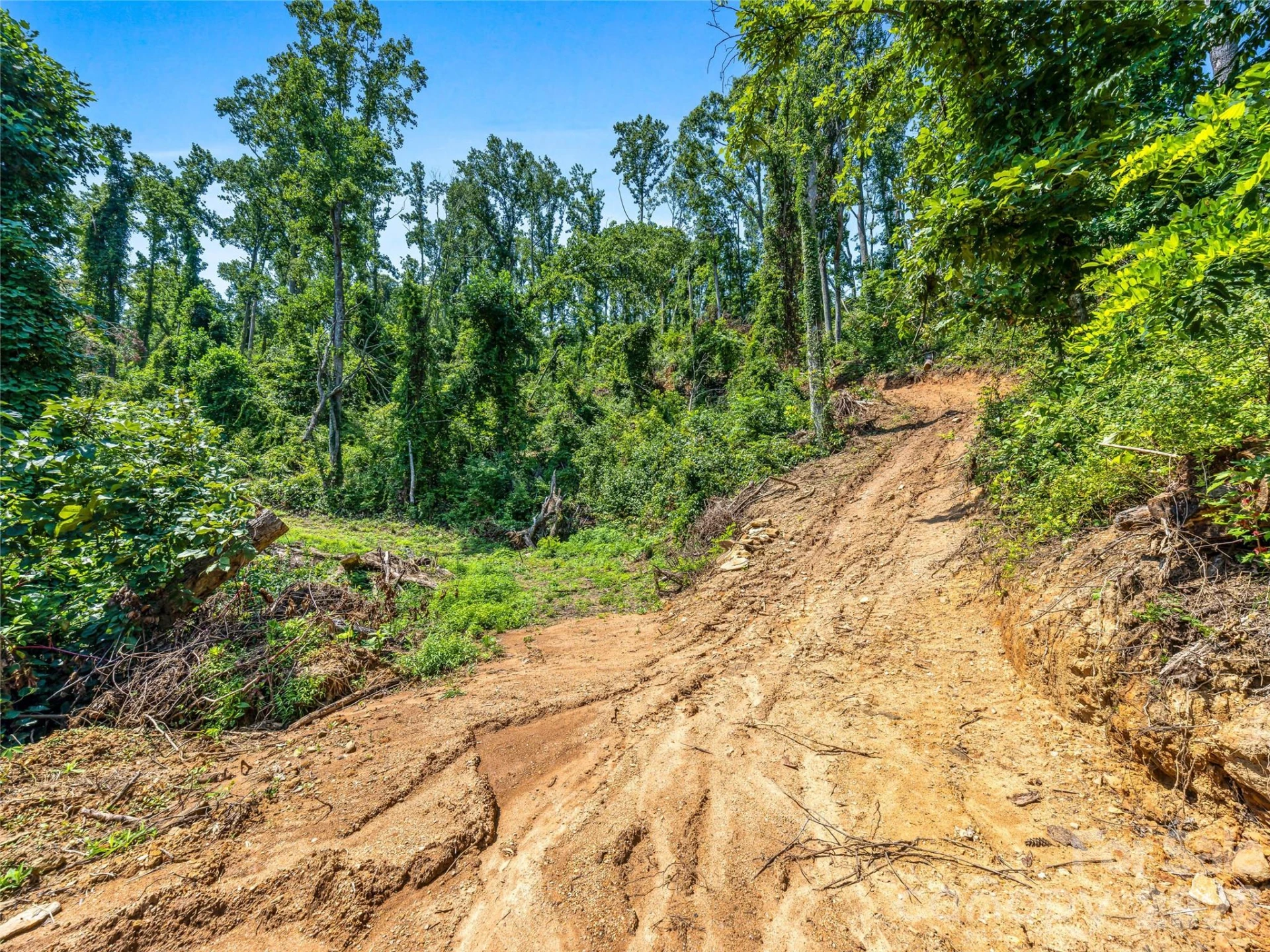TBD Robinhood Road #2 - Photo 34