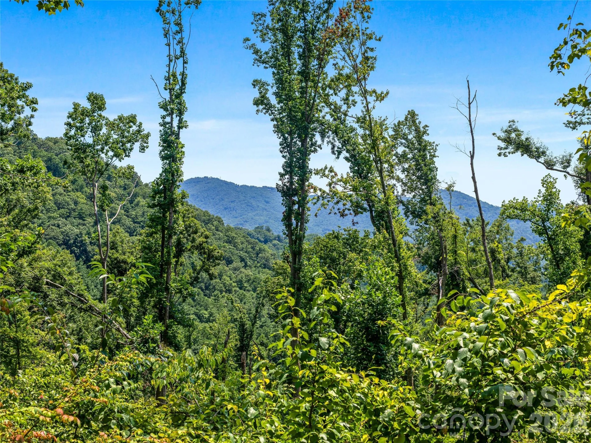 TBD Robinhood Road #2 - Photo 36