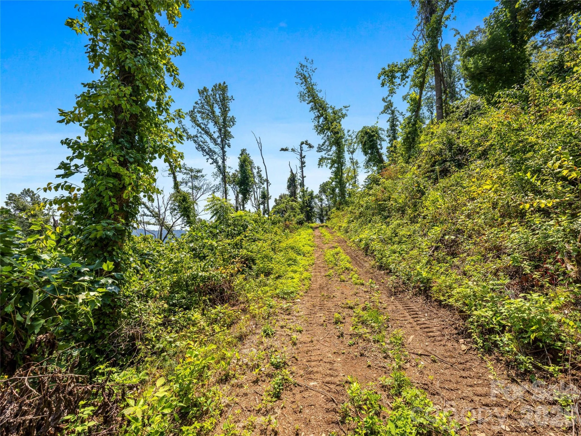 TBD Robinhood Road #2 - Photo 37