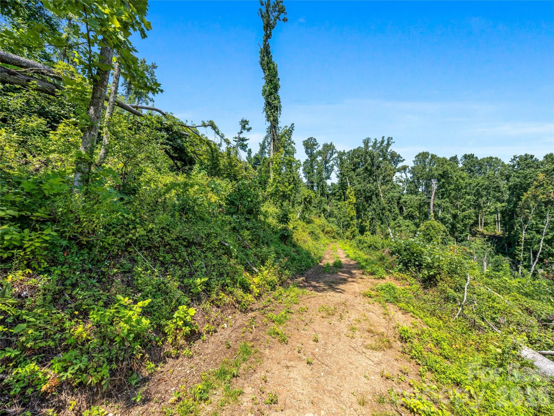 TBD Robinhood Road #2 - Photo 38