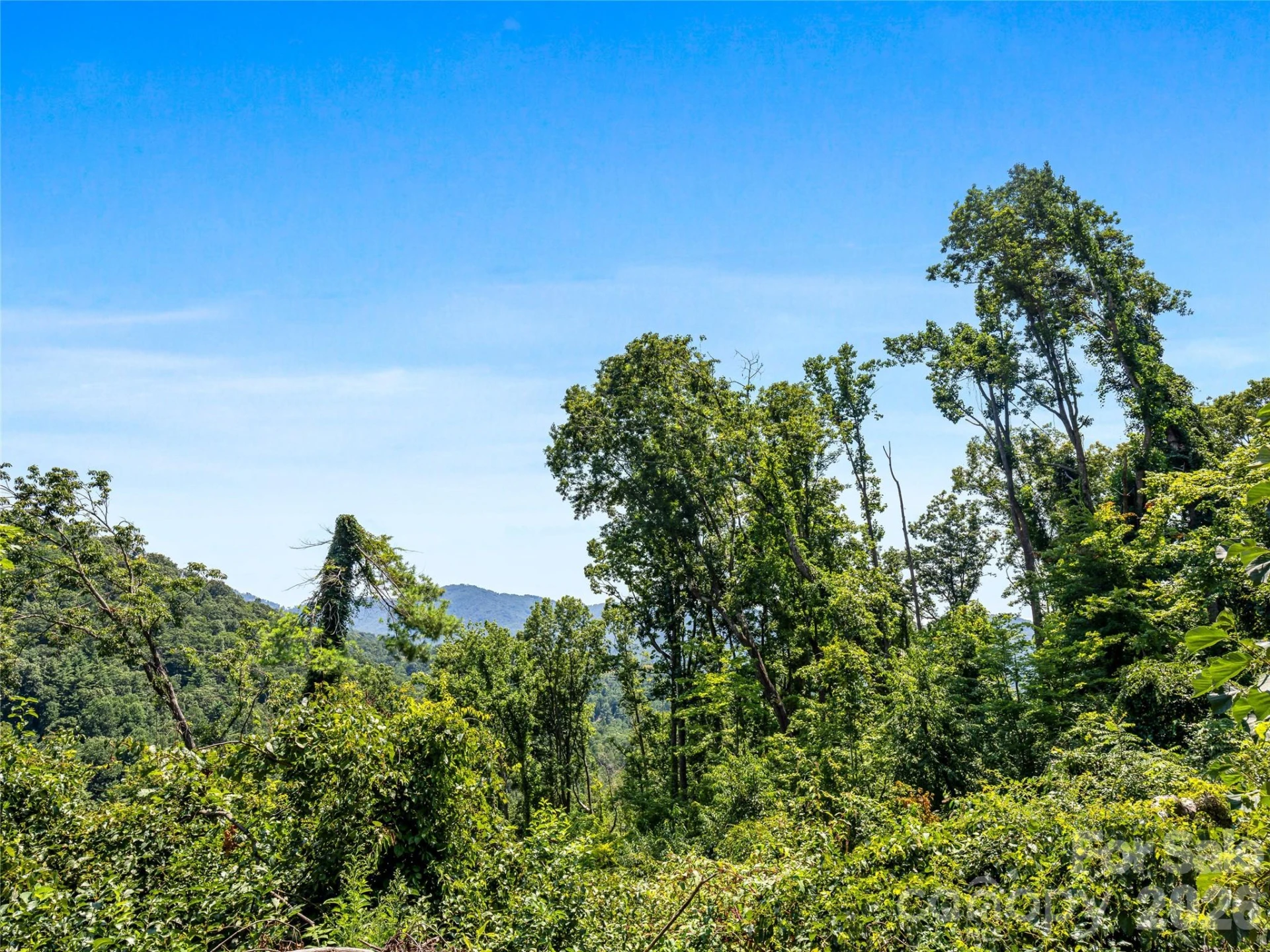 TBD Robinhood Road #2 - Photo 39